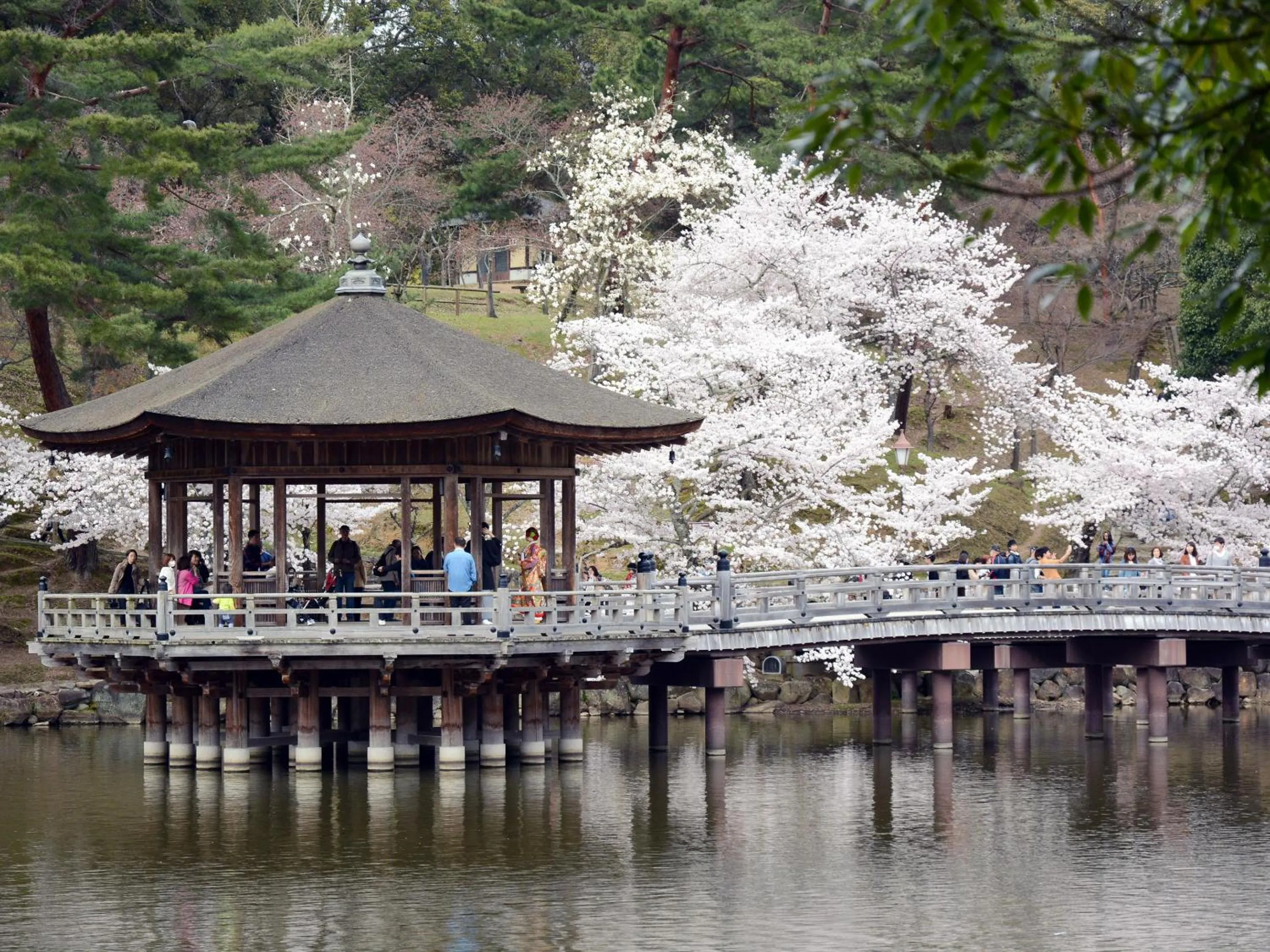 Nearby landmark in Hotel Cotton 100%