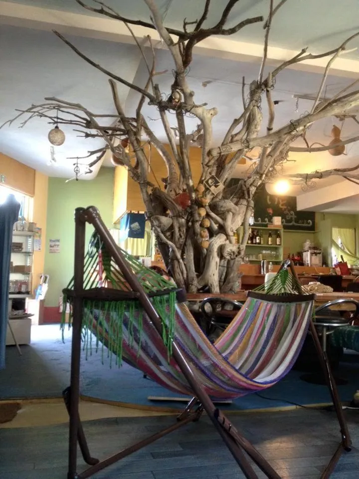 Restaurant/places to eat in Guest House & Cafe Ohana