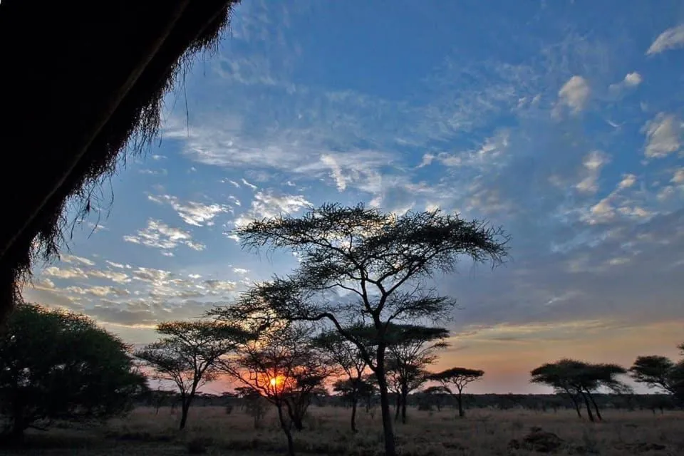 Sunset in Rafiki Village