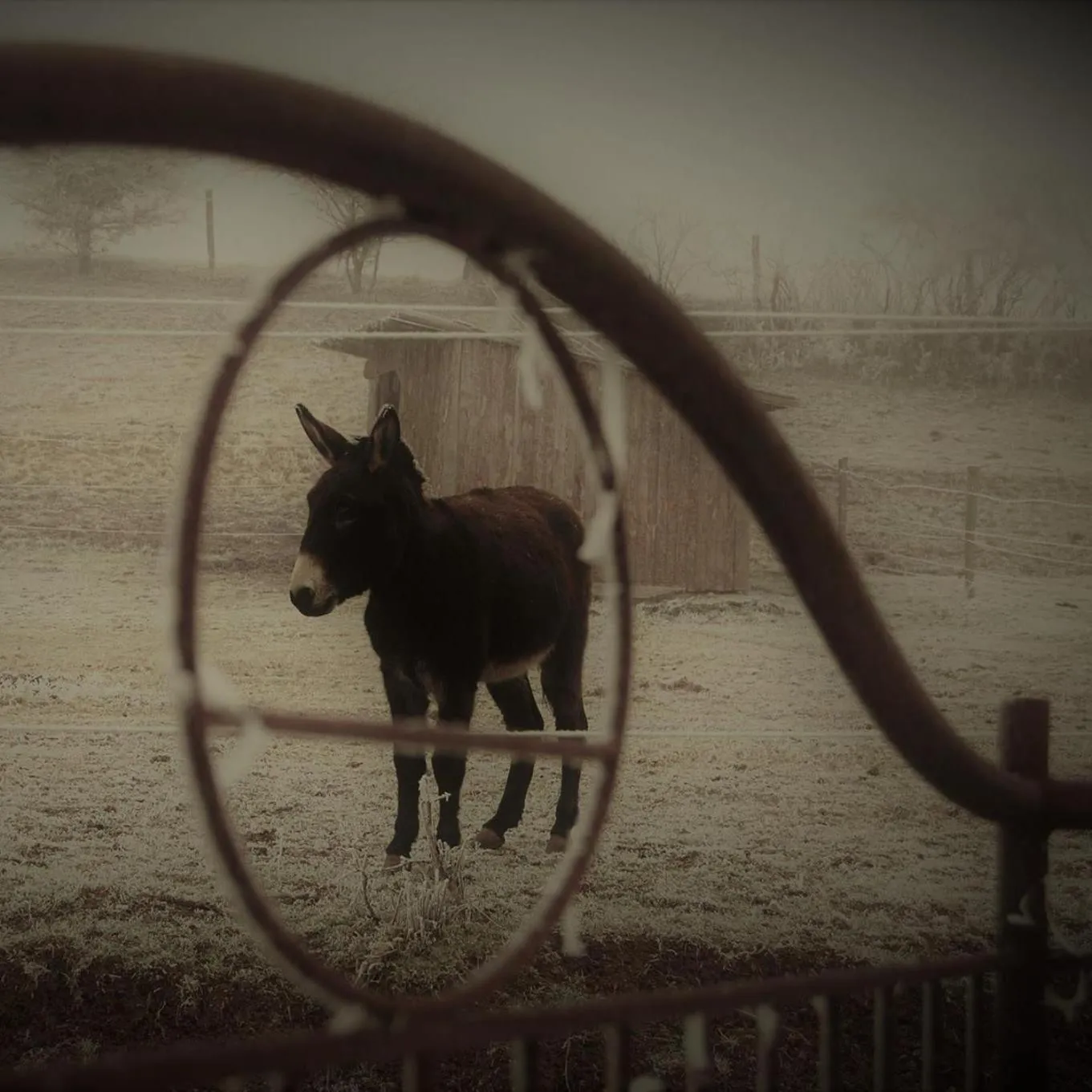 Property logo or sign in Ferme de Bellevue