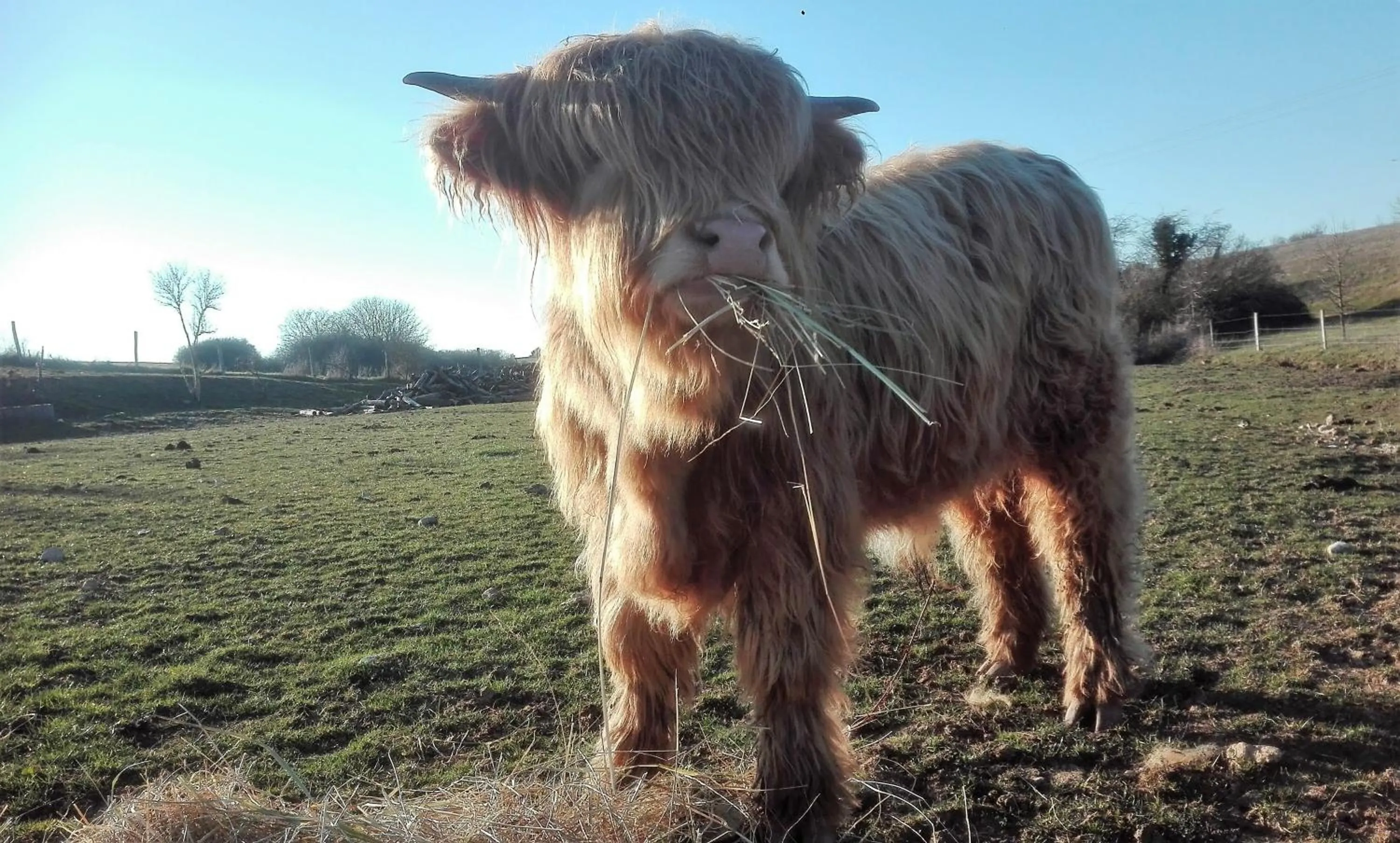 Other in Ferme de Bellevue