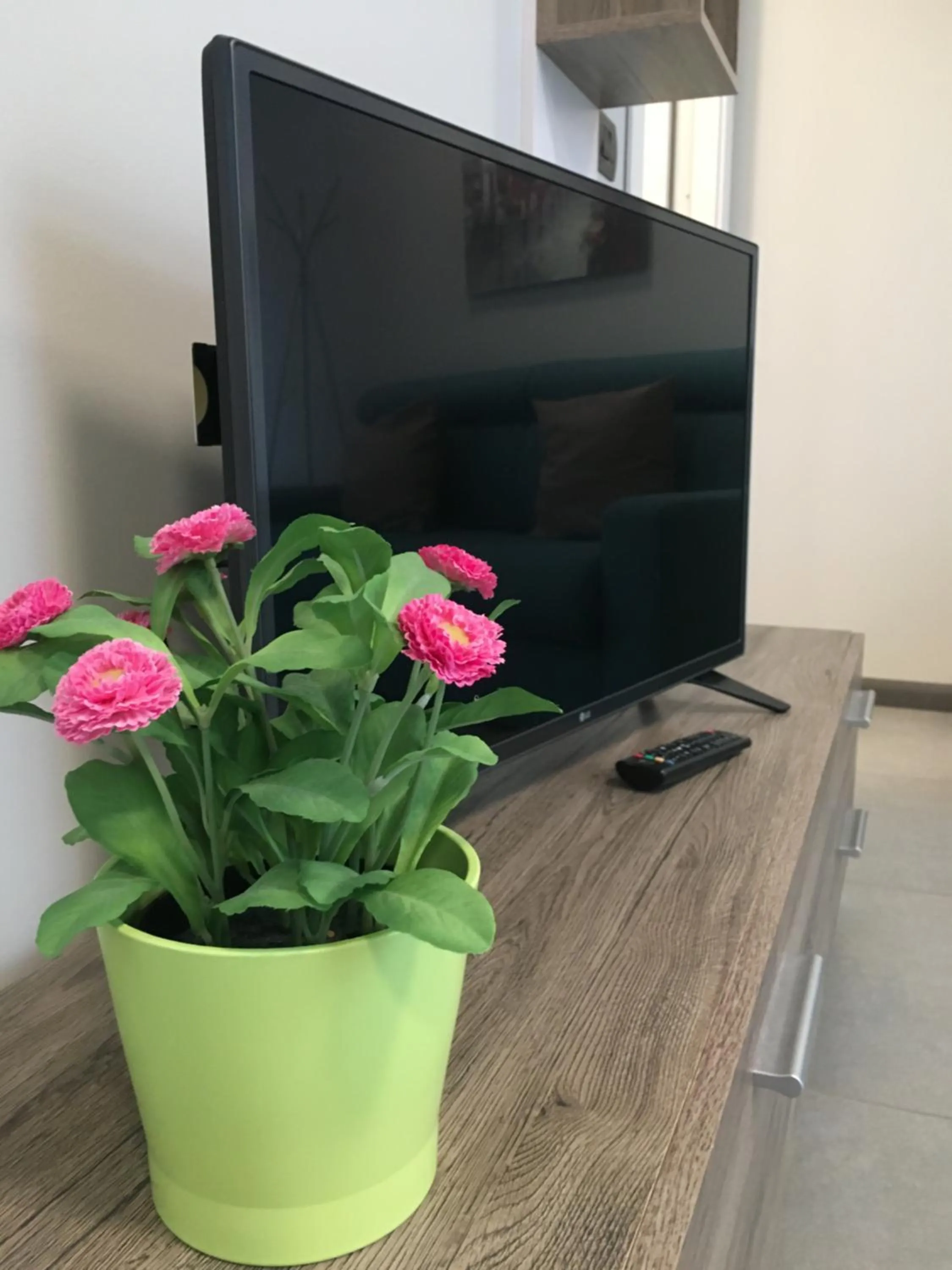 TV and multimedia in Lingotto Residence