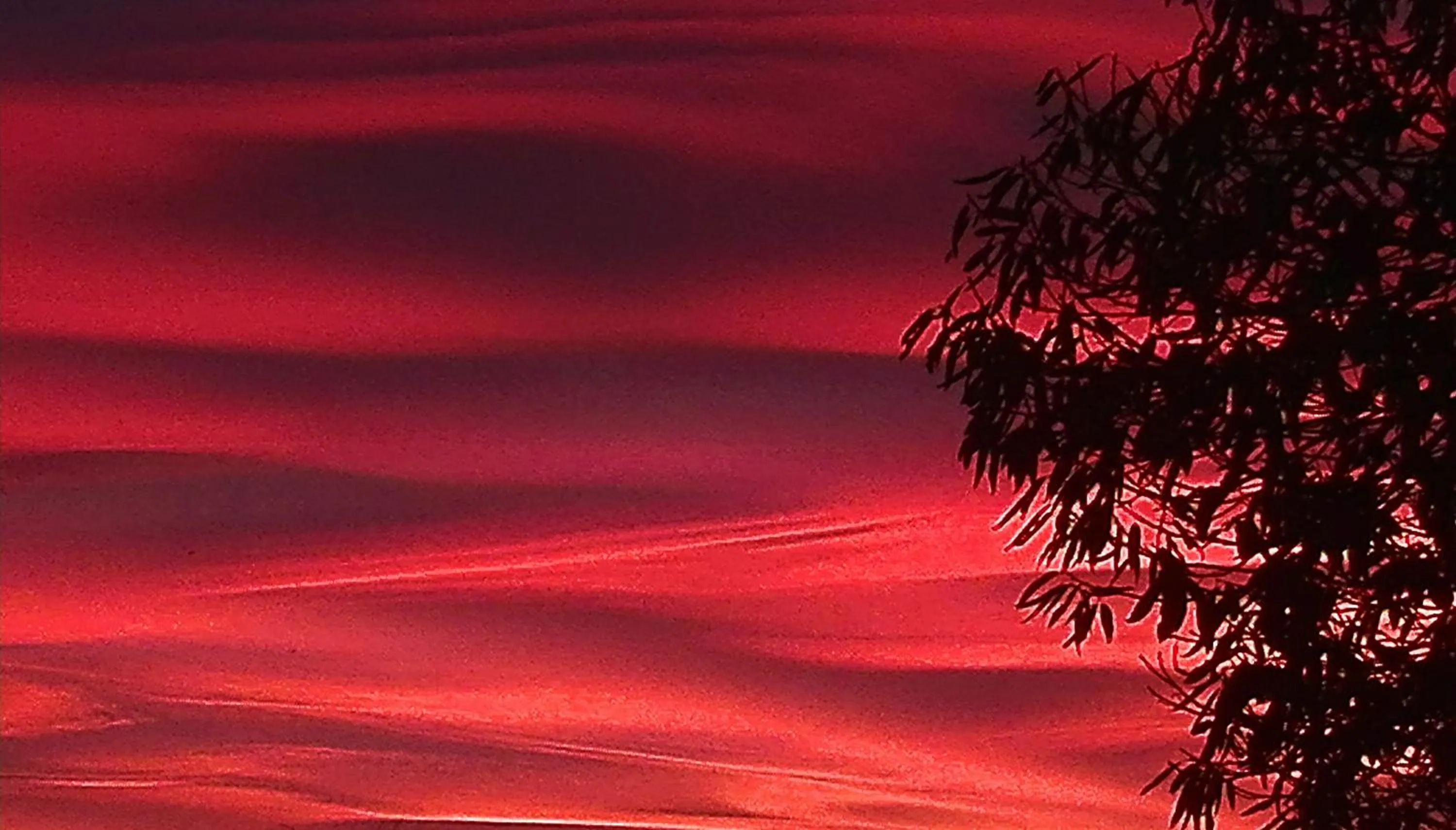 View (from property/room) in B&B Villa Claudia