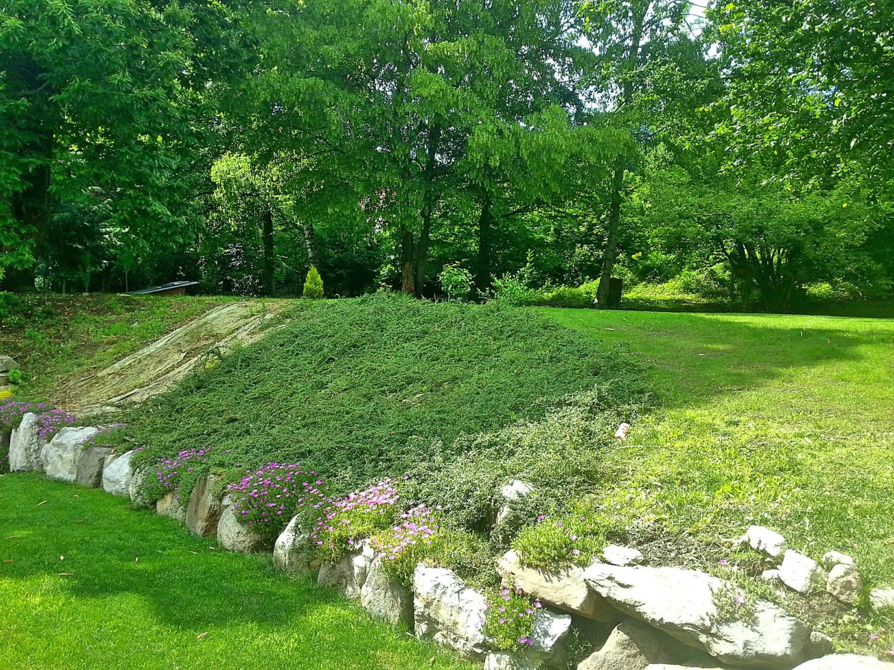 Garden in B&B Villa Claudia