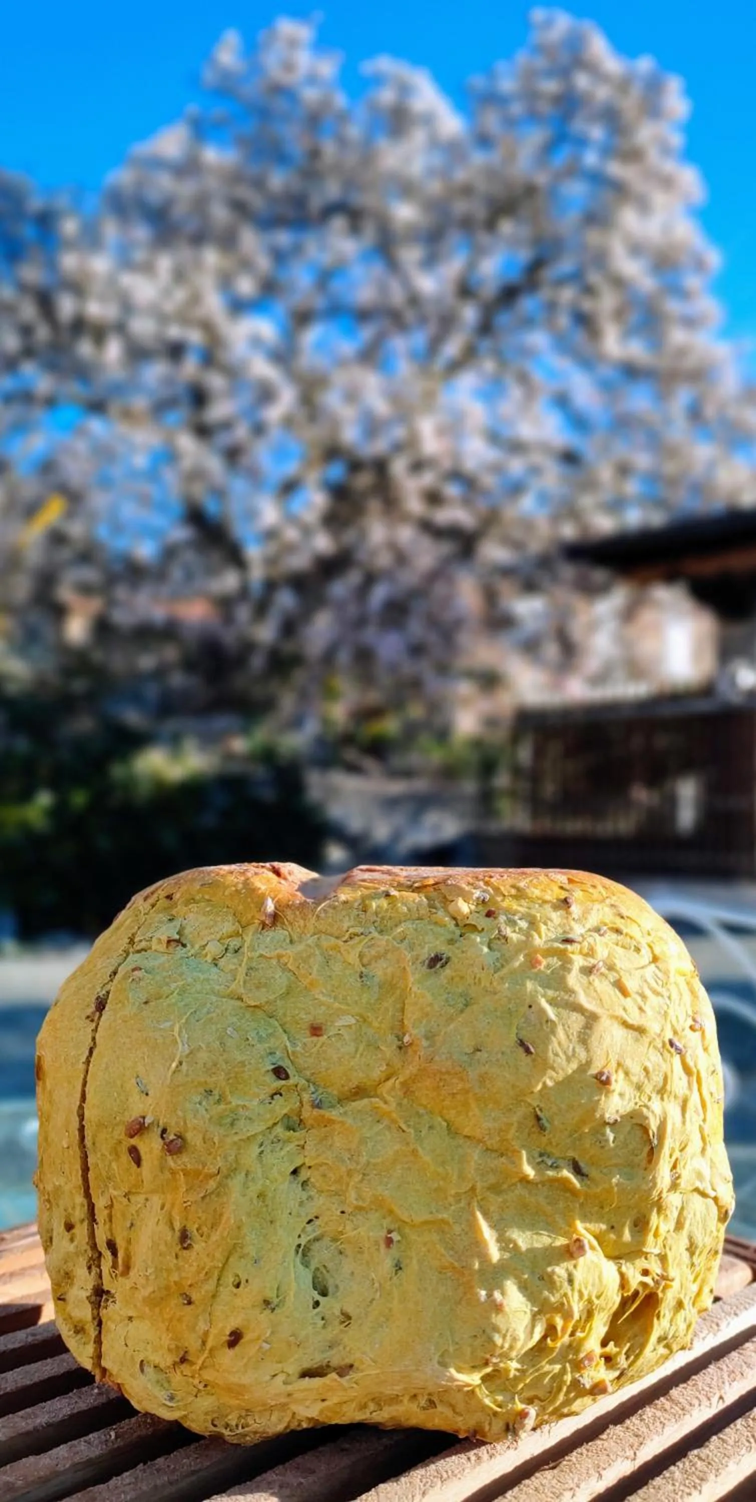 Food and drinks in B&B Villa Claudia