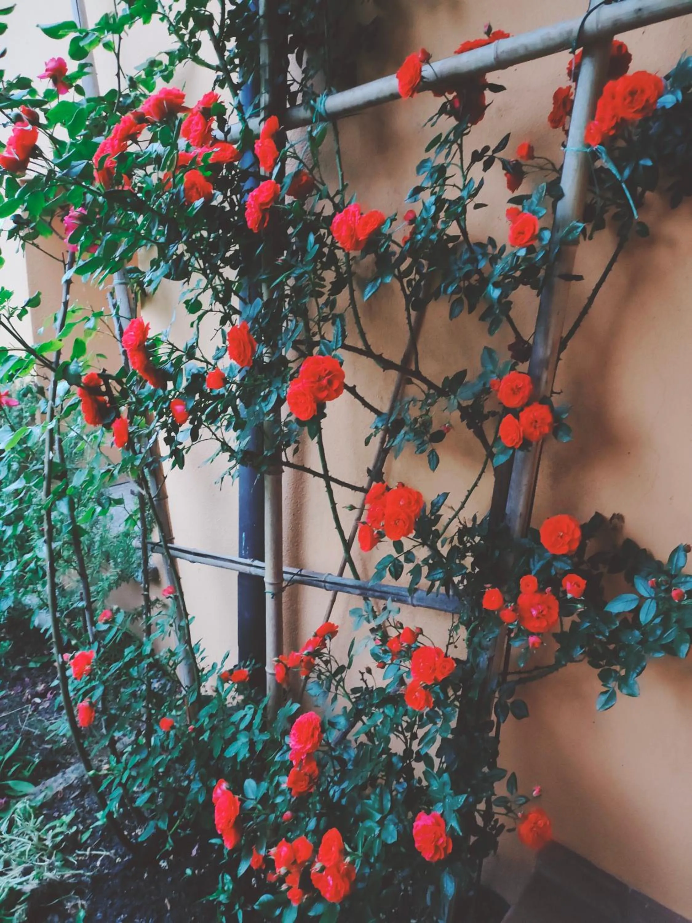 Spring in B&B Villa Claudia