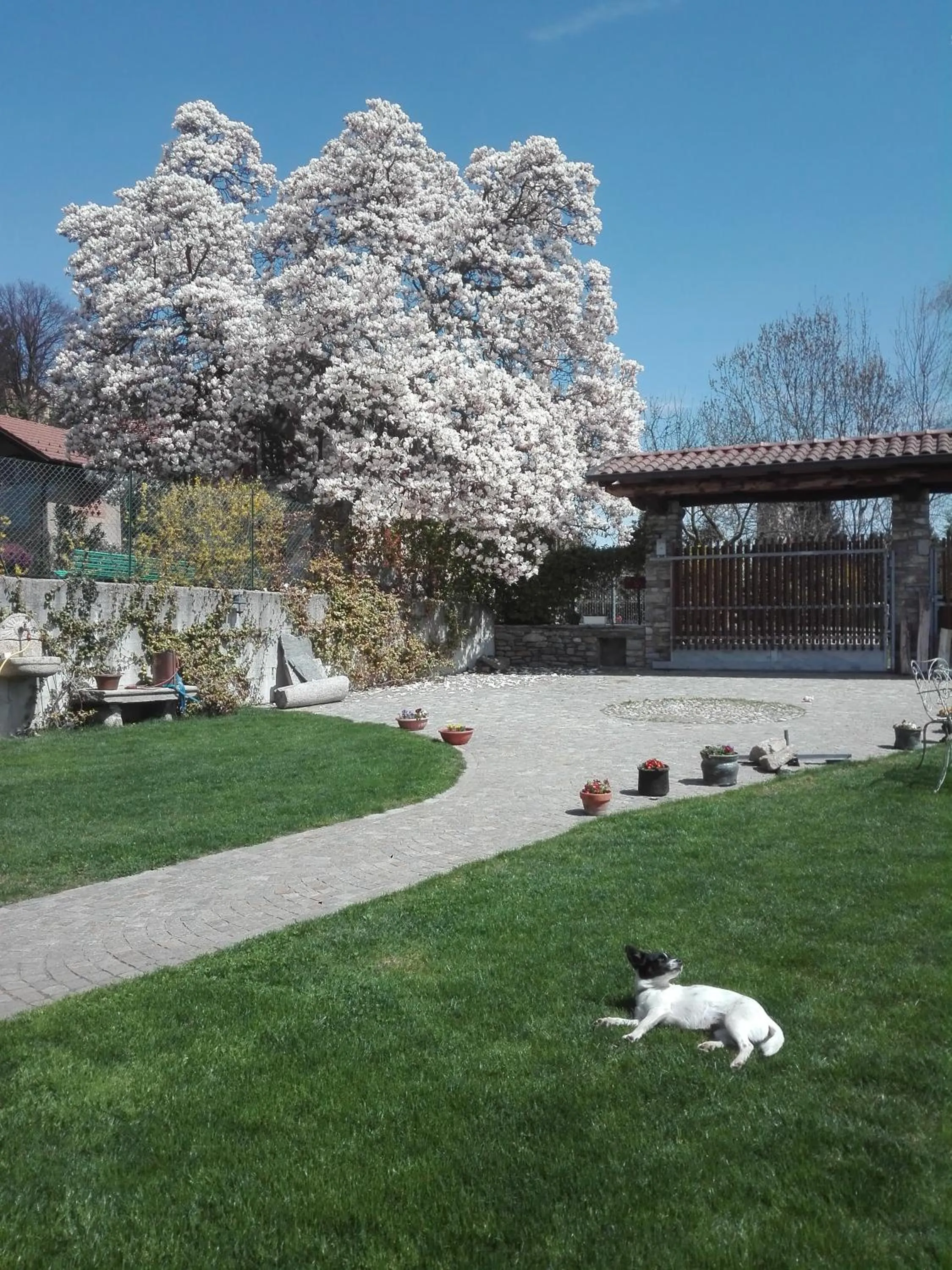 Garden in B&B Villa Claudia