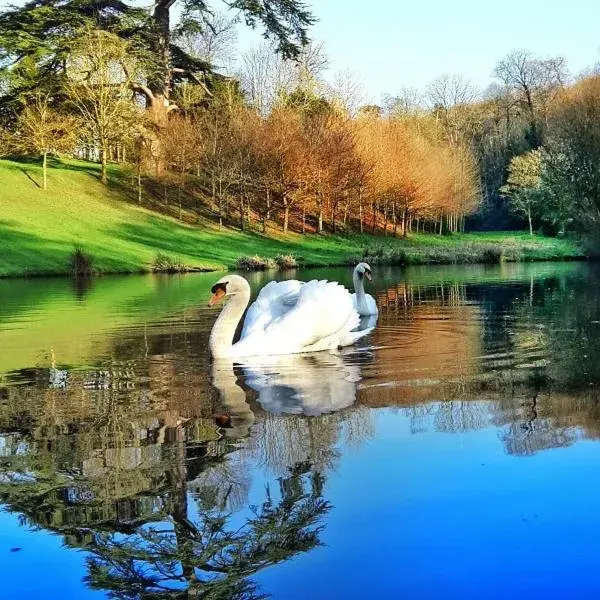 L'Orangerie L'Orangerie