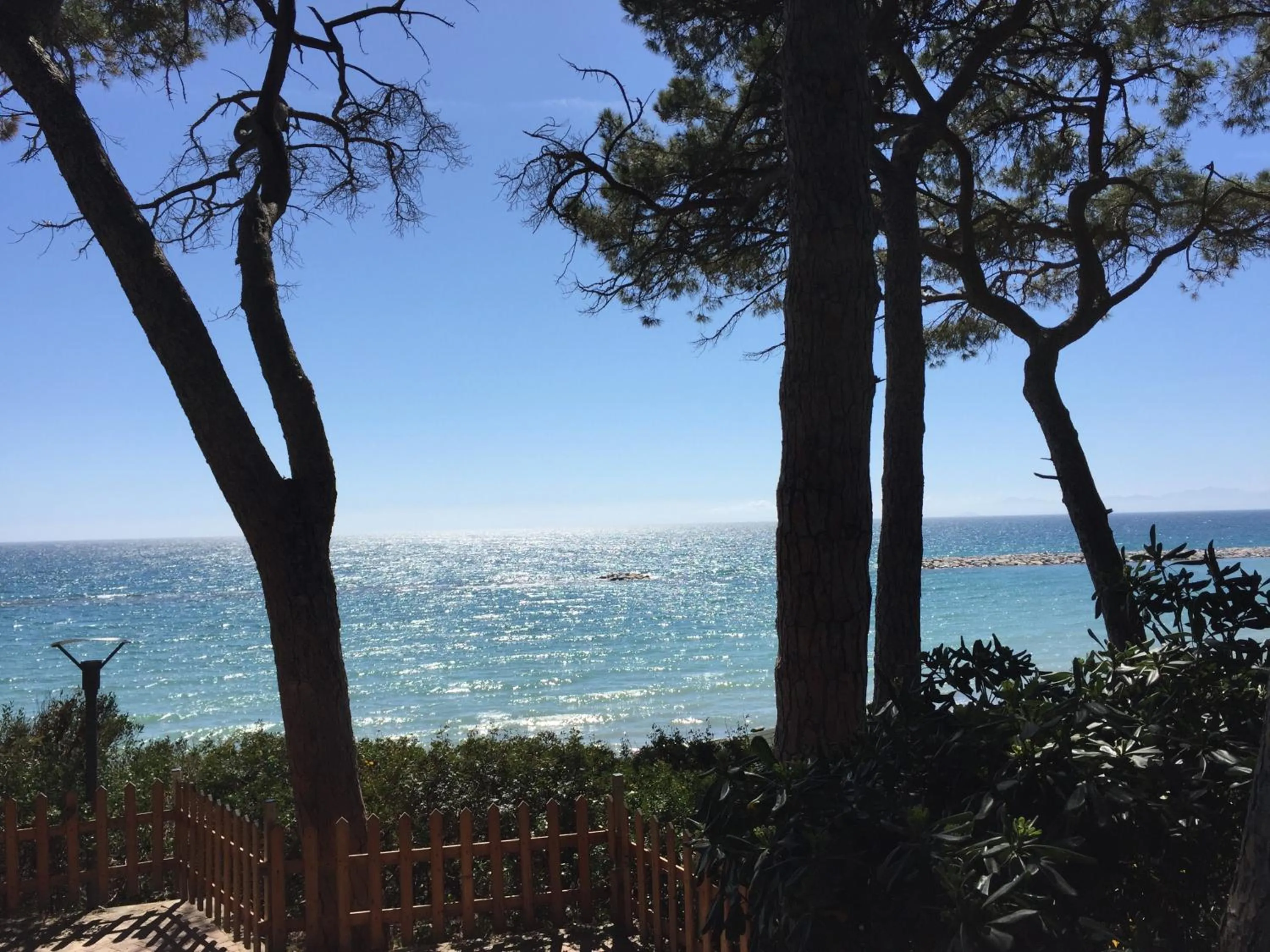 Natural landscape in Hotel Boschetto