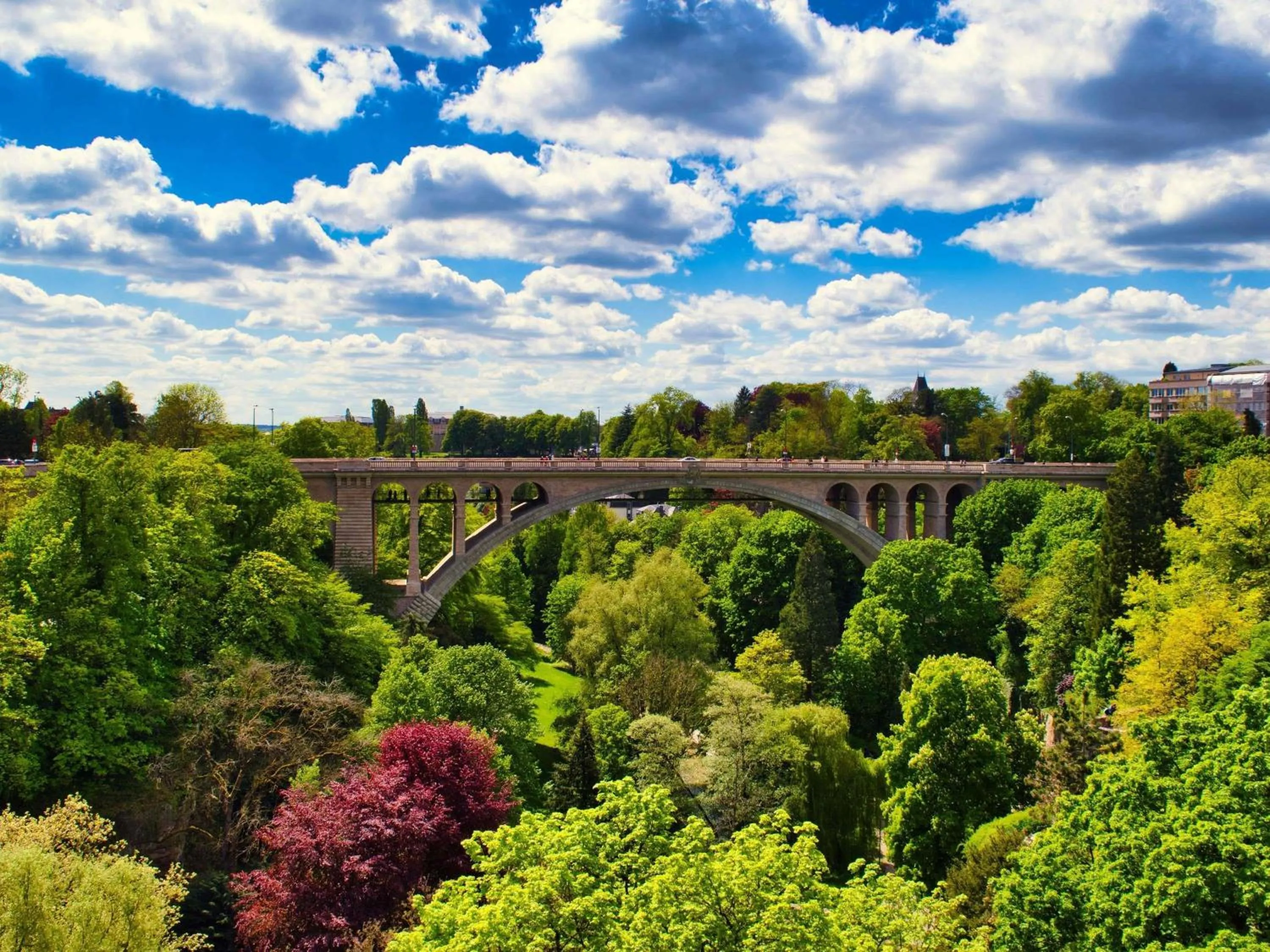 Other in Novotel Luxembourg Kirchberg