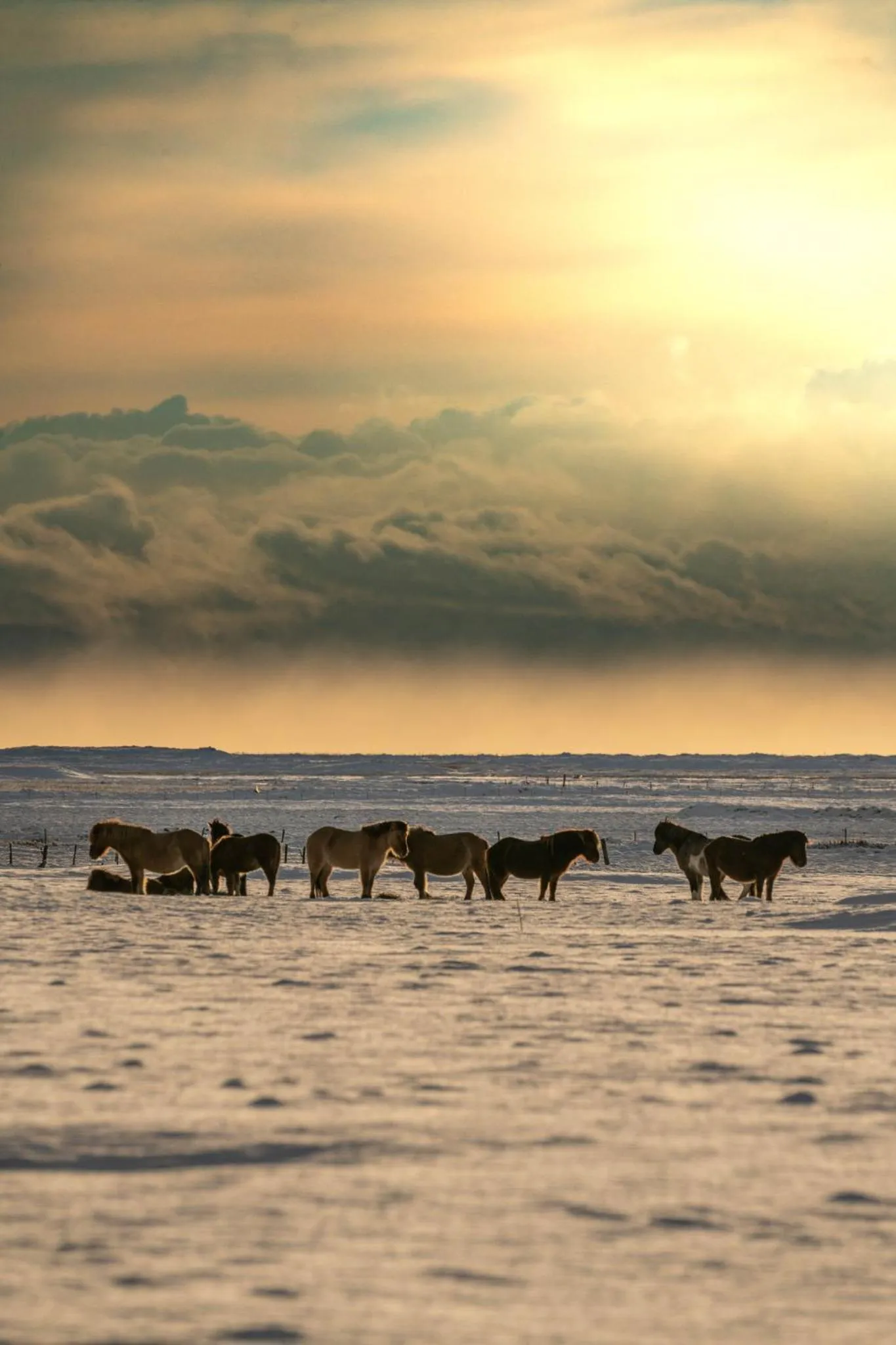 Activities in Midgard Base Camp