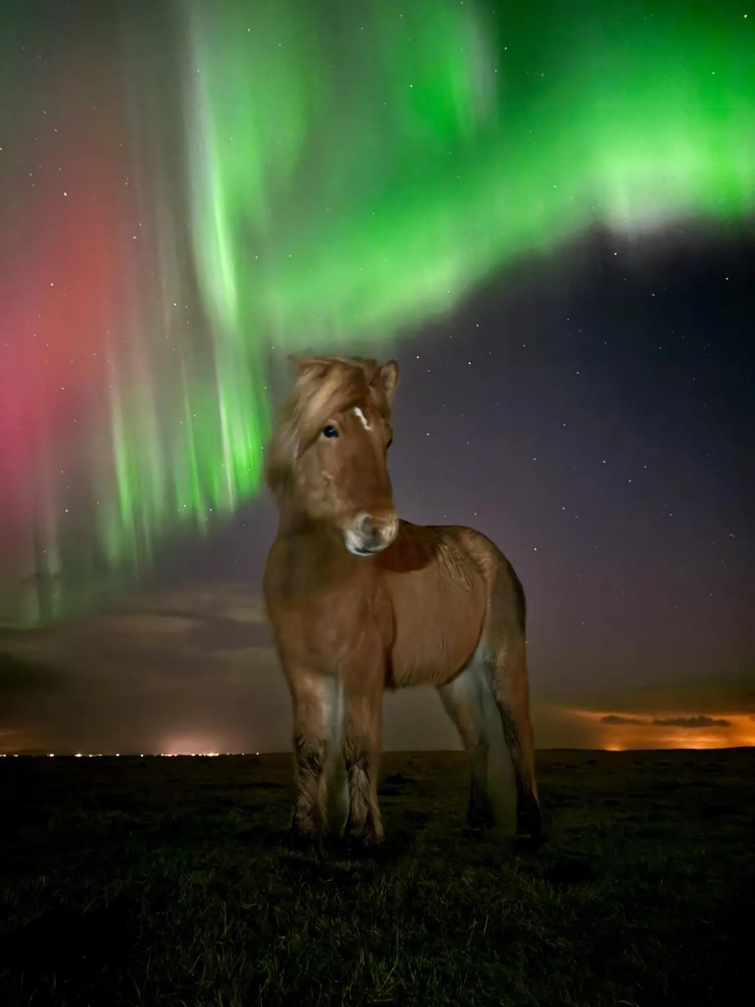 View (from property/room) in Midgard Base Camp