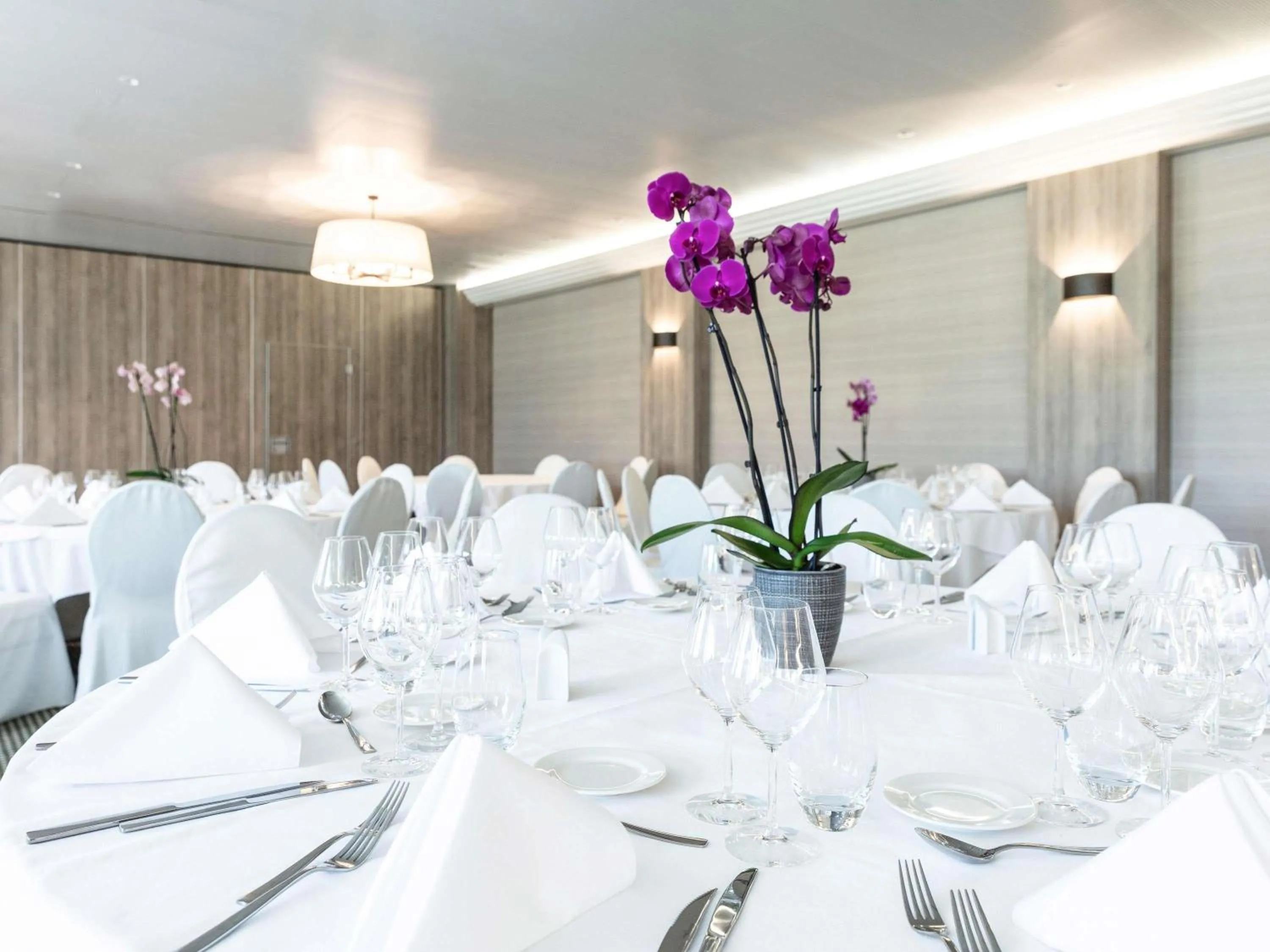 Meeting/conference room in Mercure Luxembourg Kikuoka Golf & Spa