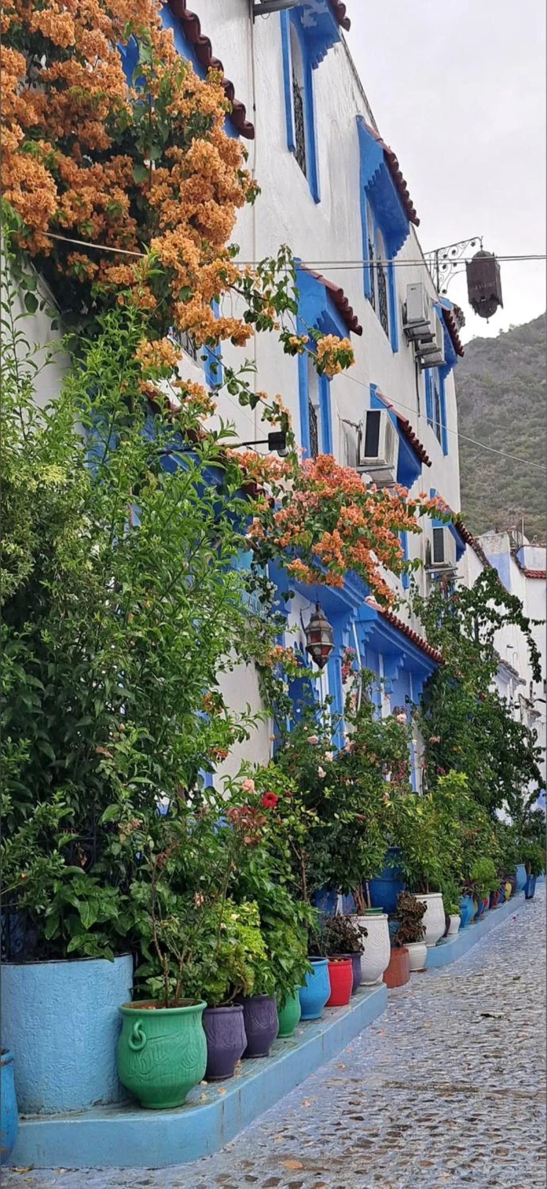 Property building in Dar Yakout