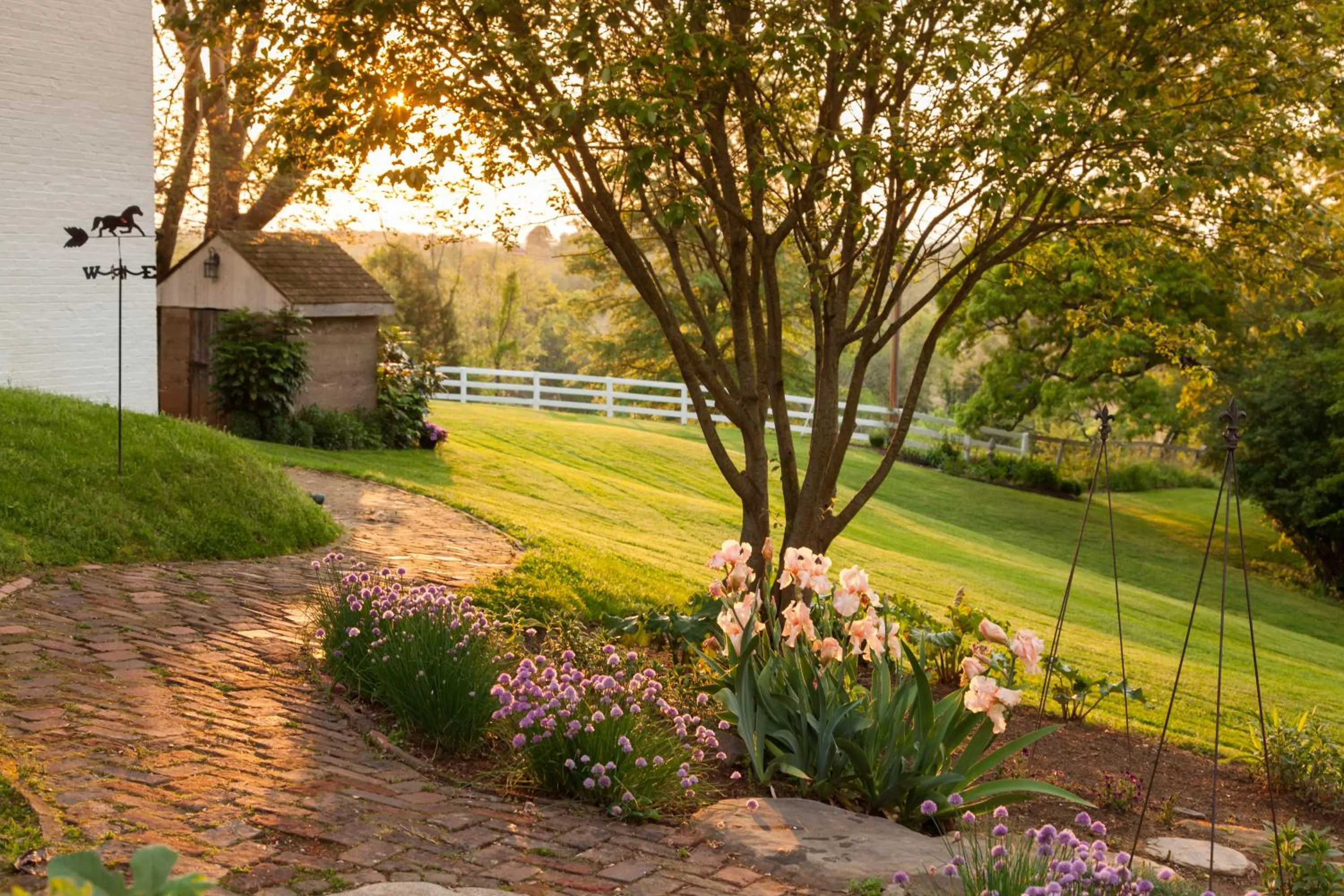 Garden view in The Inn & Tavern at Meander