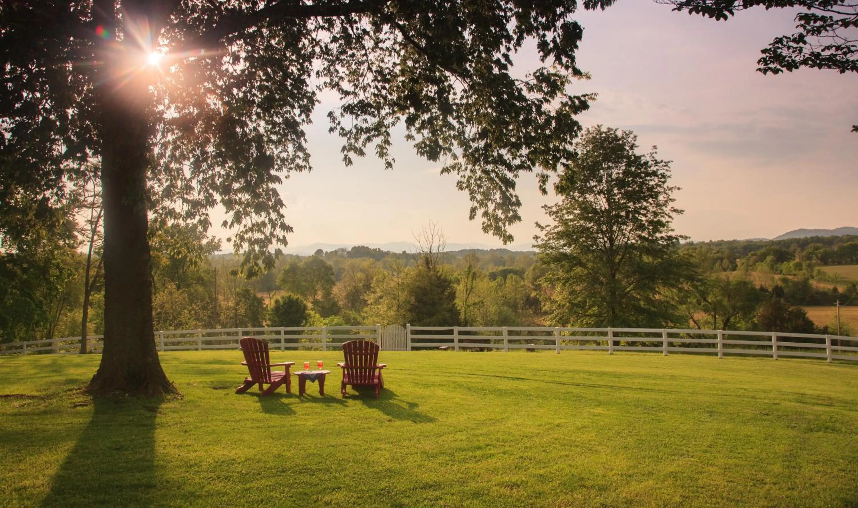 Garden view in The Inn & Tavern at Meander