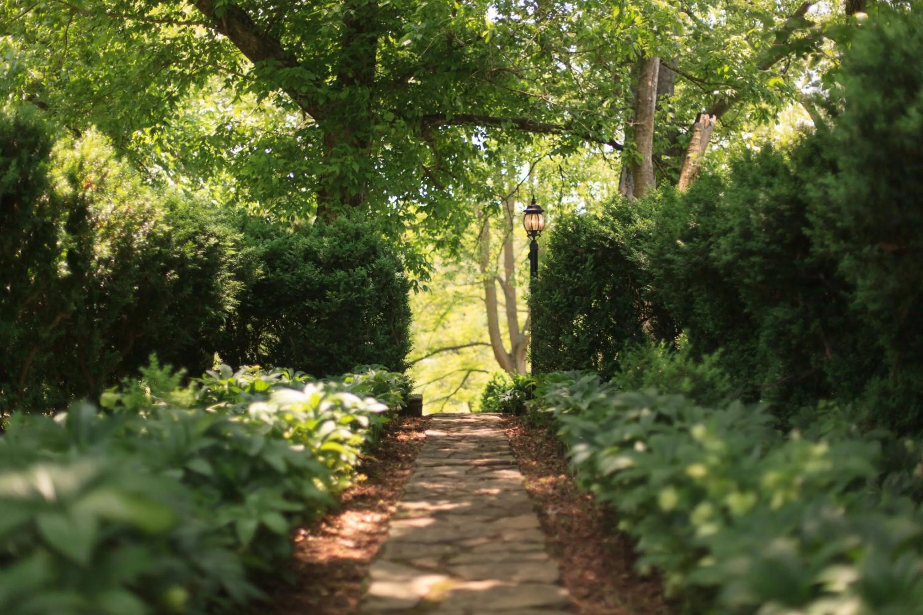 Garden in The Inn & Tavern at Meander