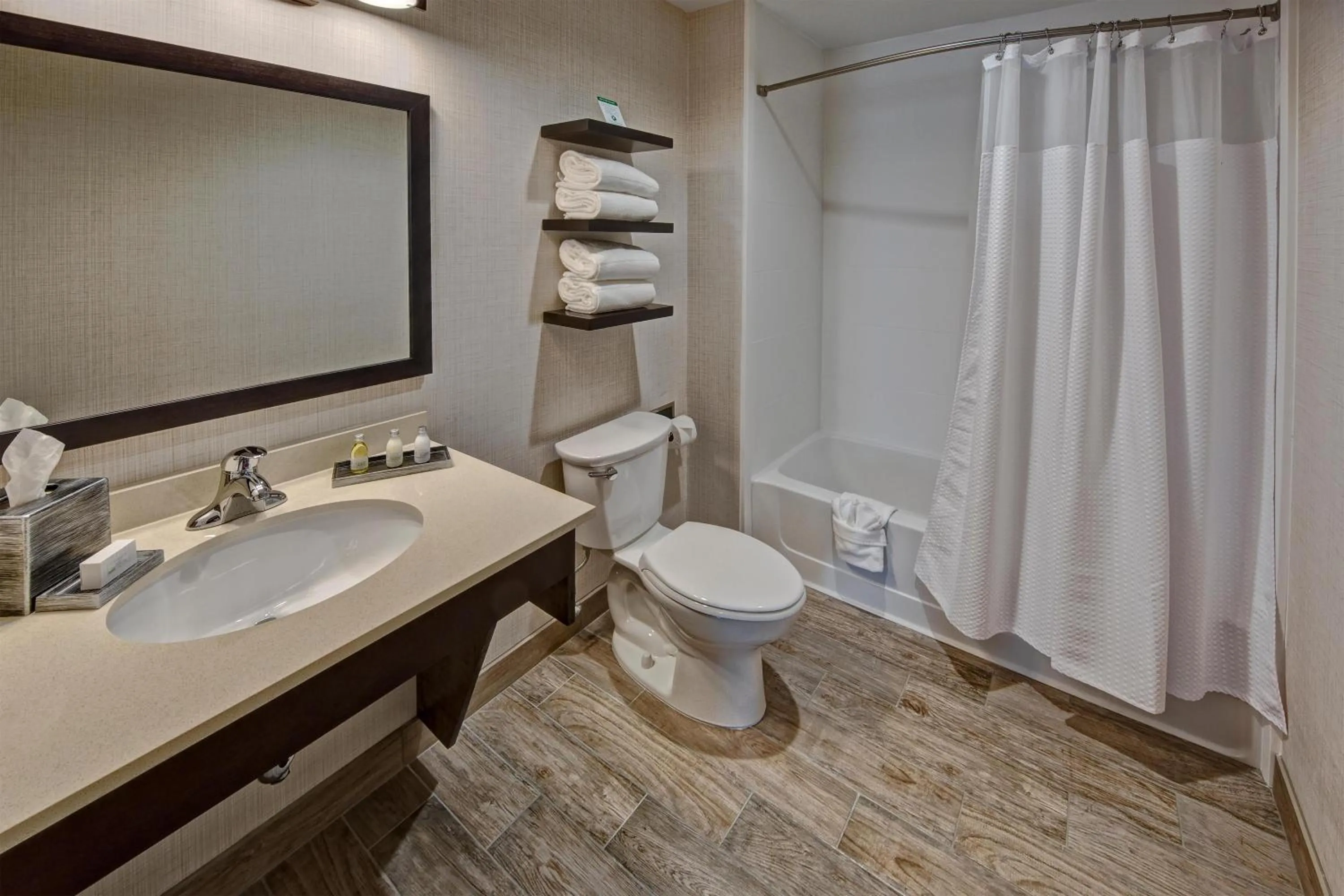 Bathroom in Black Fox Lodge Pigeon Forge, Tapestry Collection by Hilton