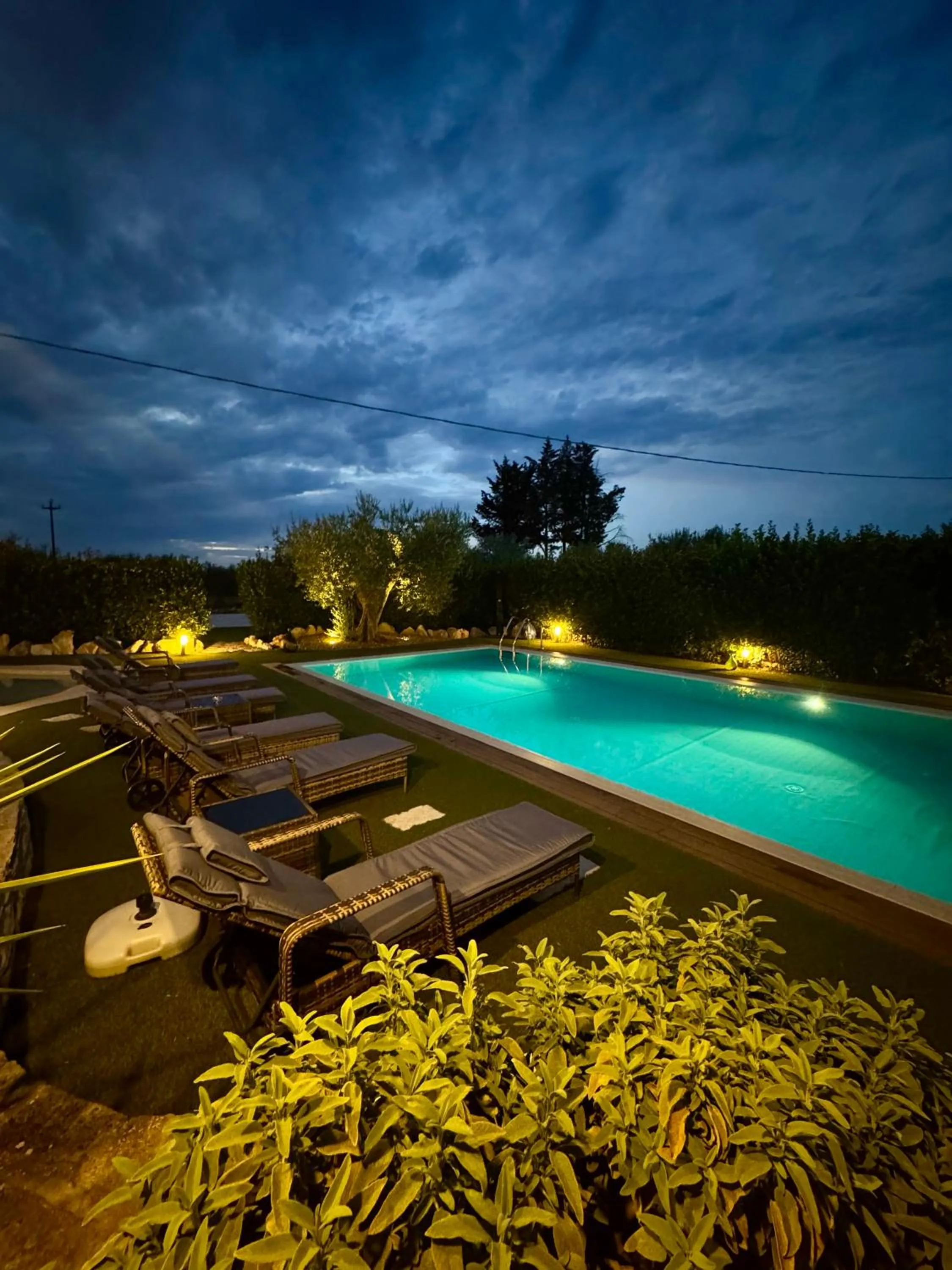 Swimming pool in La linea dell'orizzonte