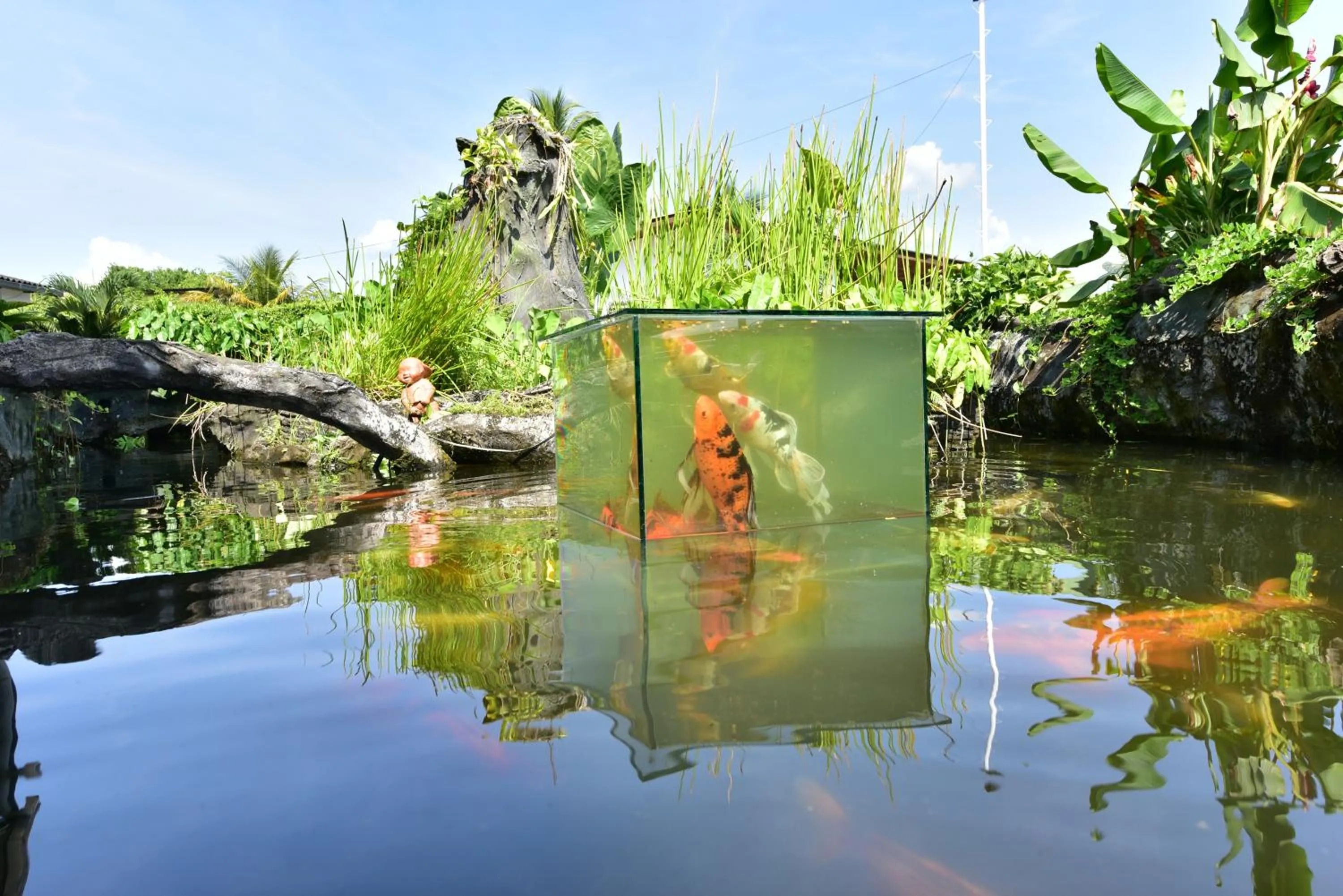 Lake view in Gran Hotel De Lago - Lago Agrio