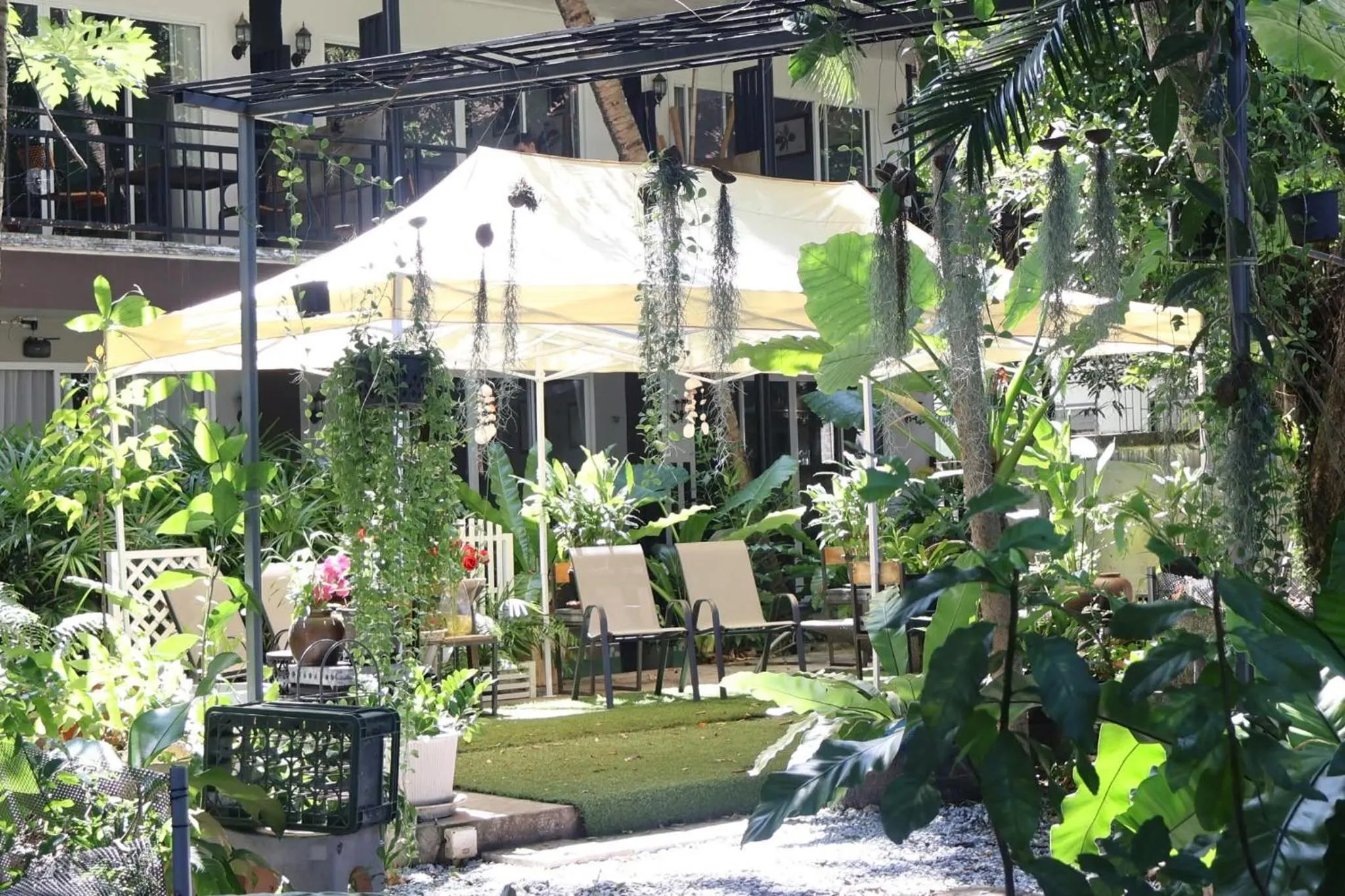 Garden in Eat n Sleep