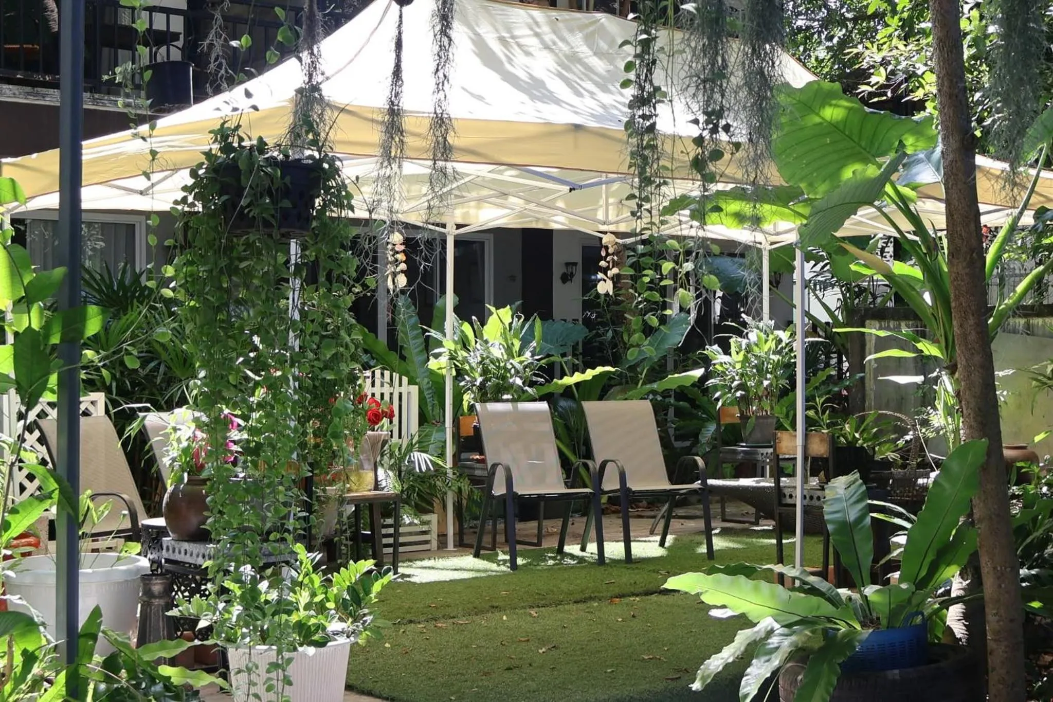 Patio in Eat n Sleep