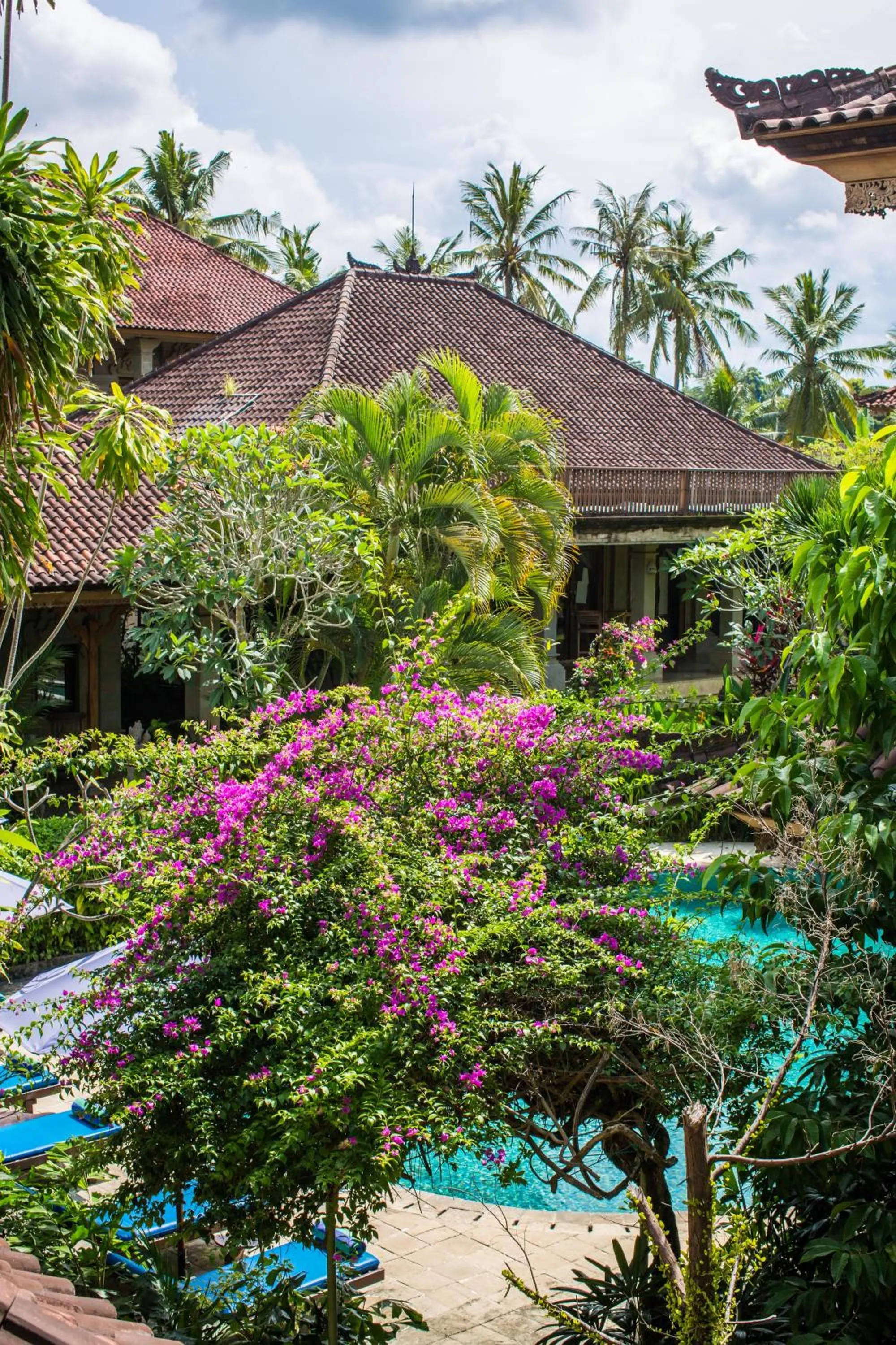 Garden view in Vision Villa Resort