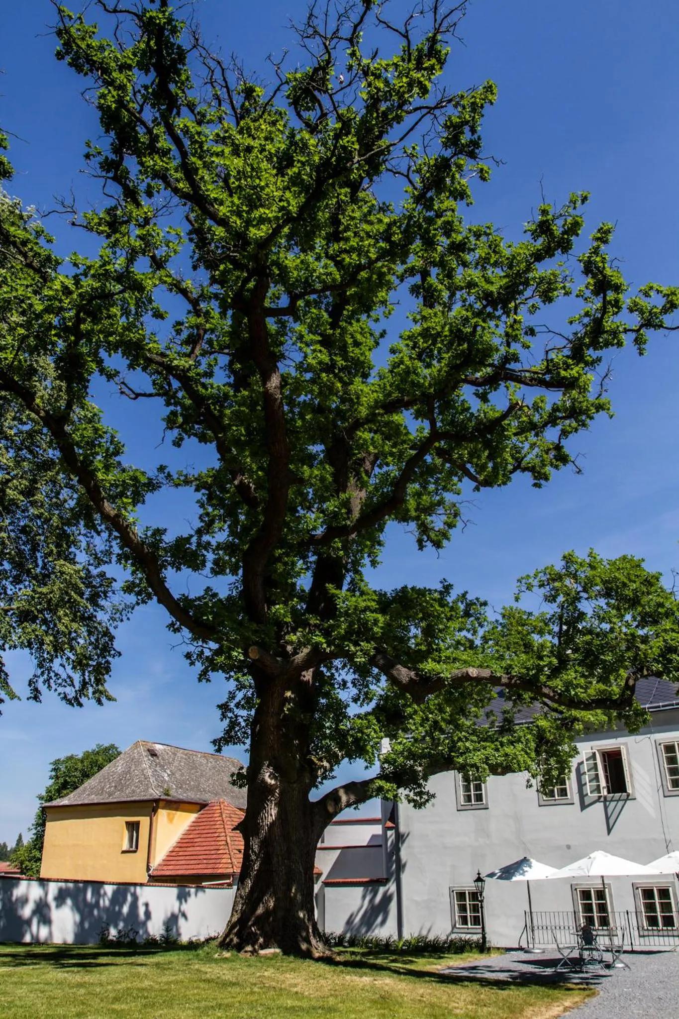 Nearby landmark in Hotel Panství Dlouhá Lhota
