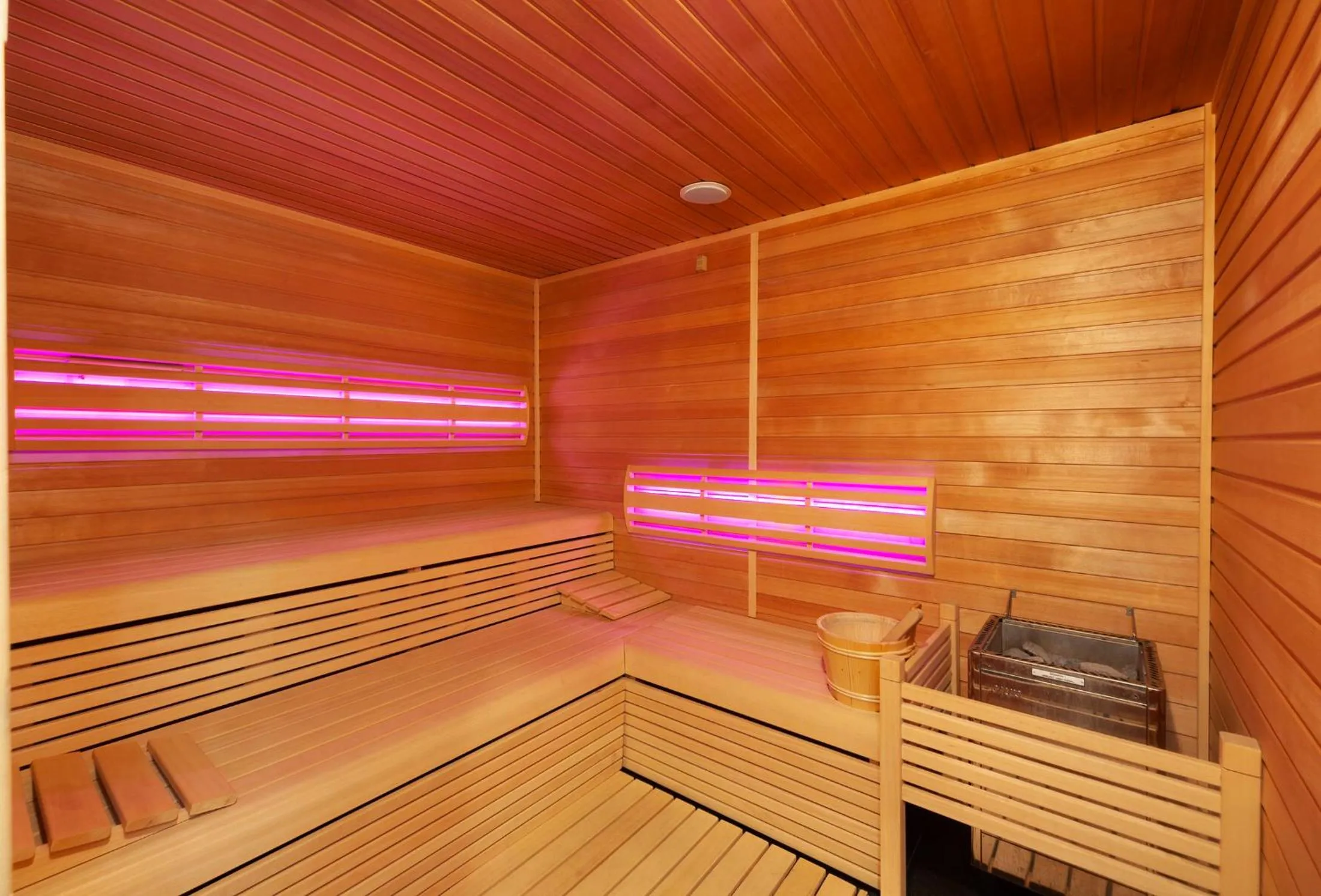 Sauna in Hotel Panství Dlouhá Lhota