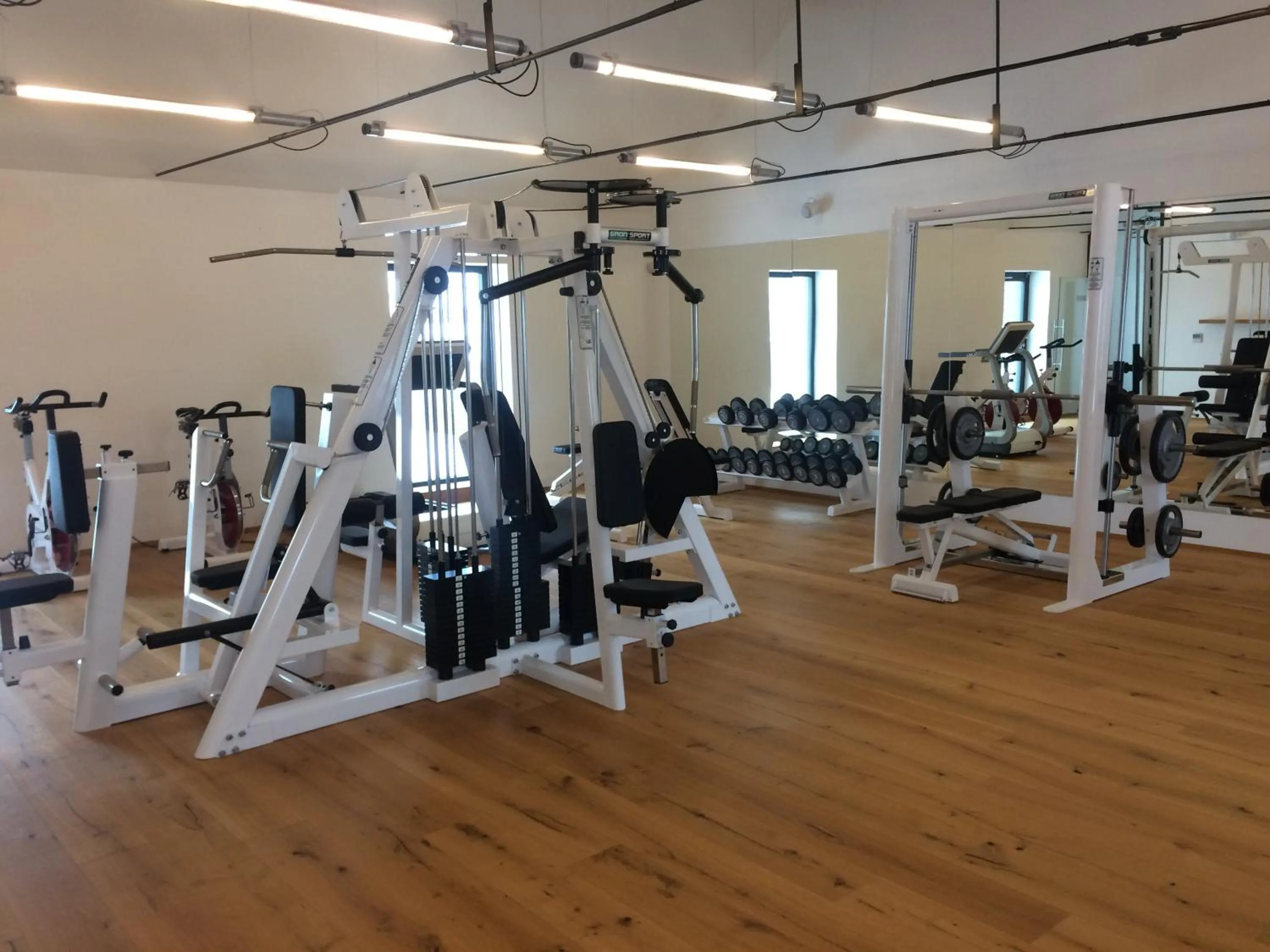 Fitness centre/facilities in Hotel Panství Dlouhá Lhota