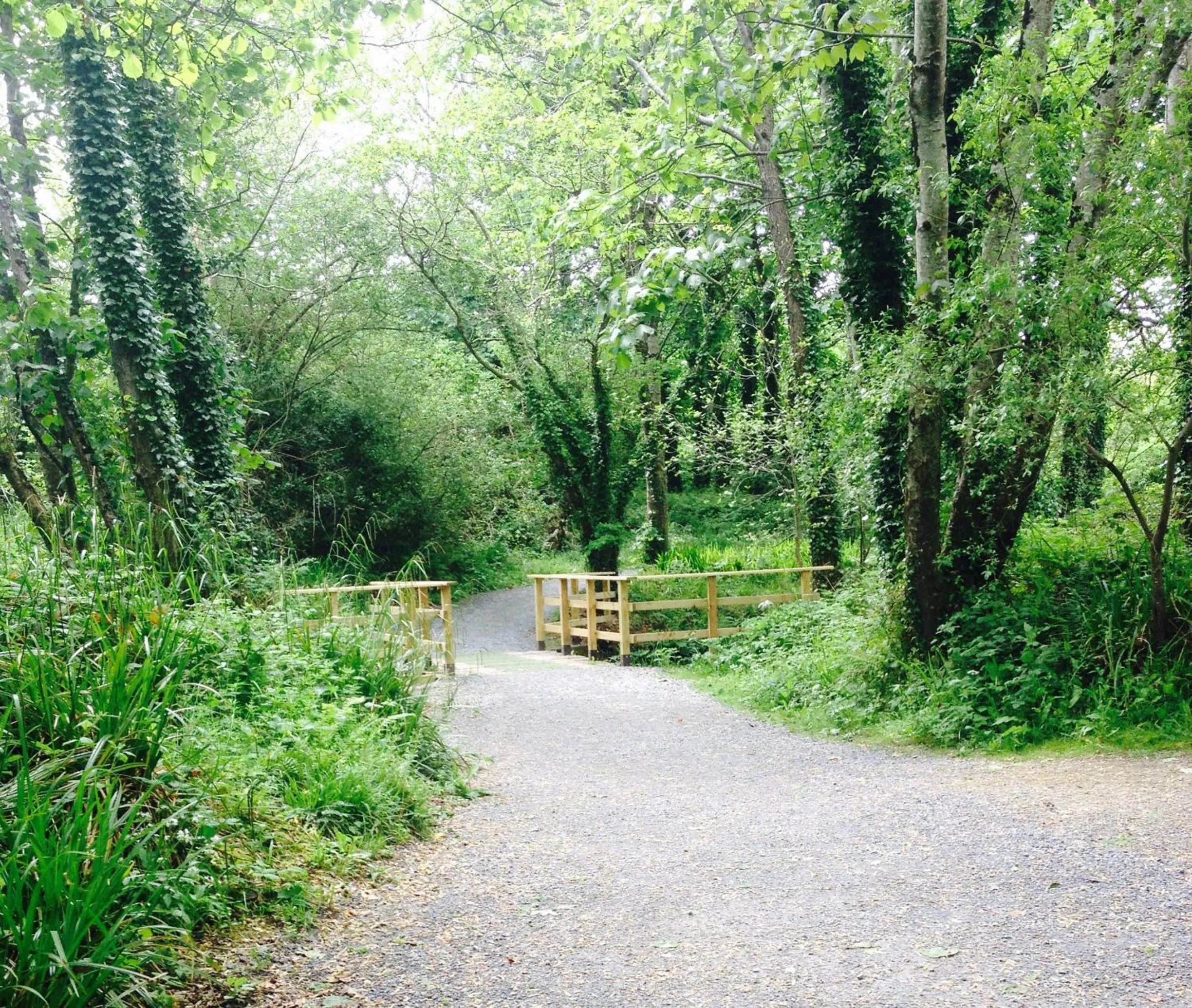 Natural landscape in Woodleigh Lodge