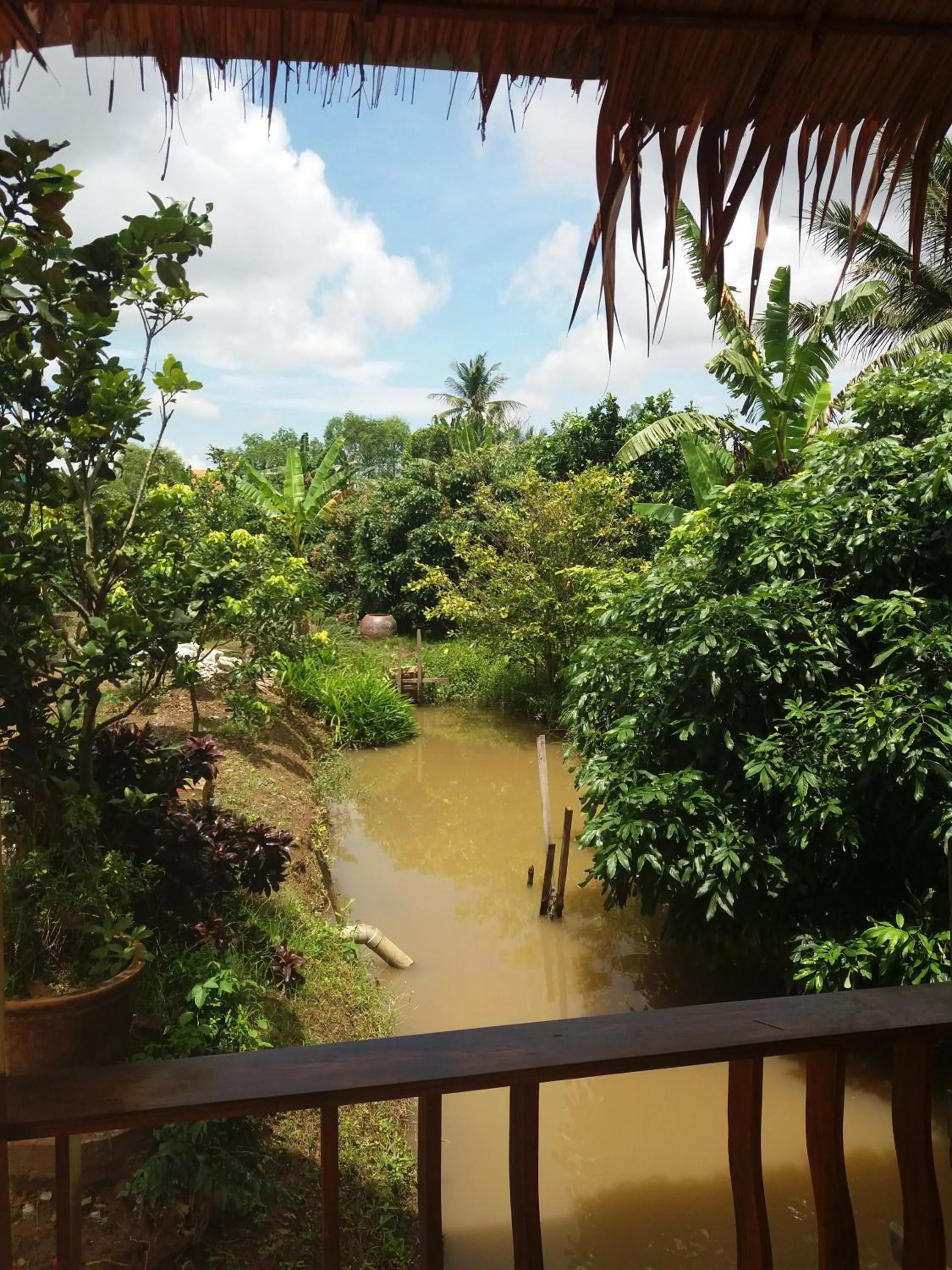 Garden view in Ba Linh Homestay