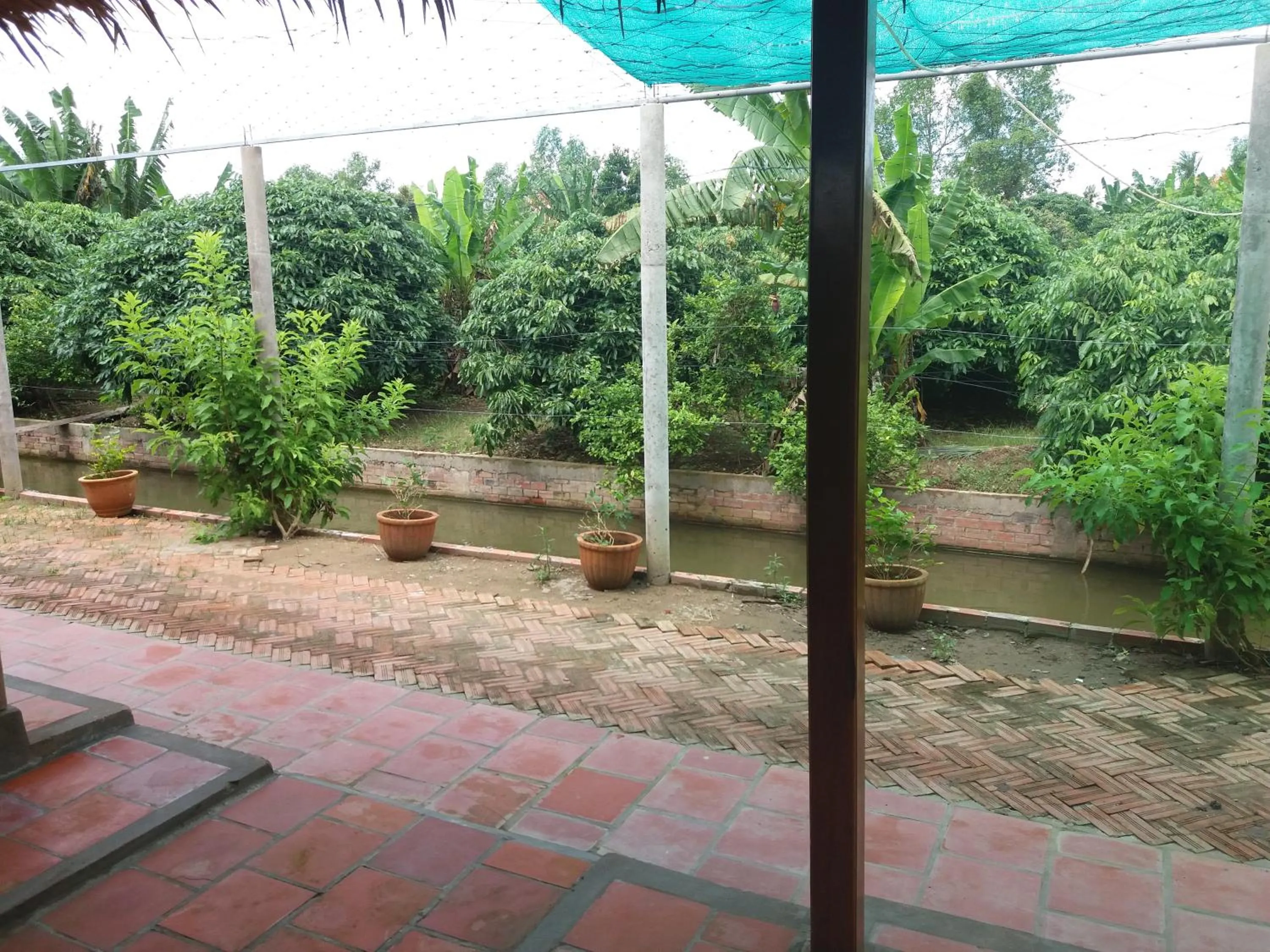 Garden in Ba Linh Homestay