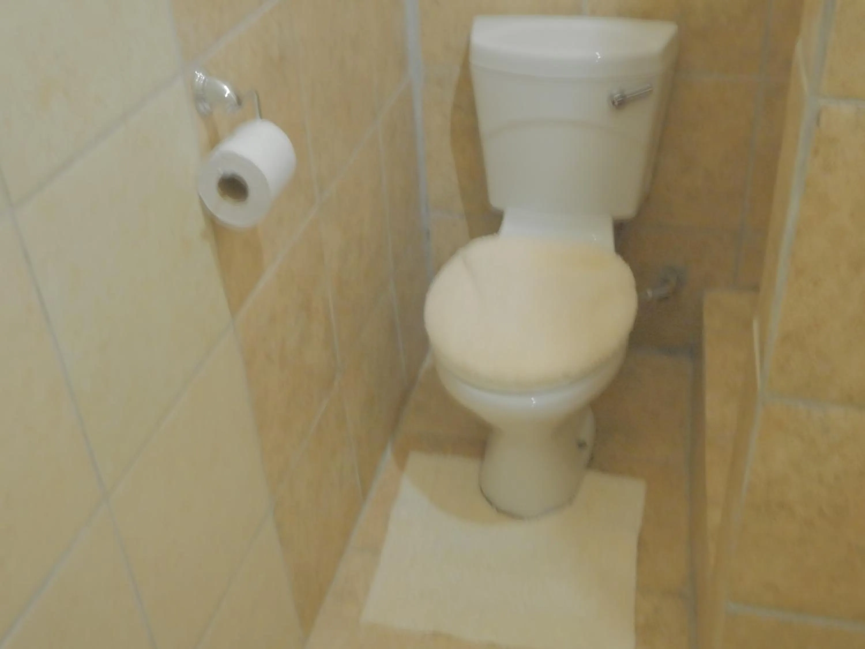 Toilet in Valley Guest House