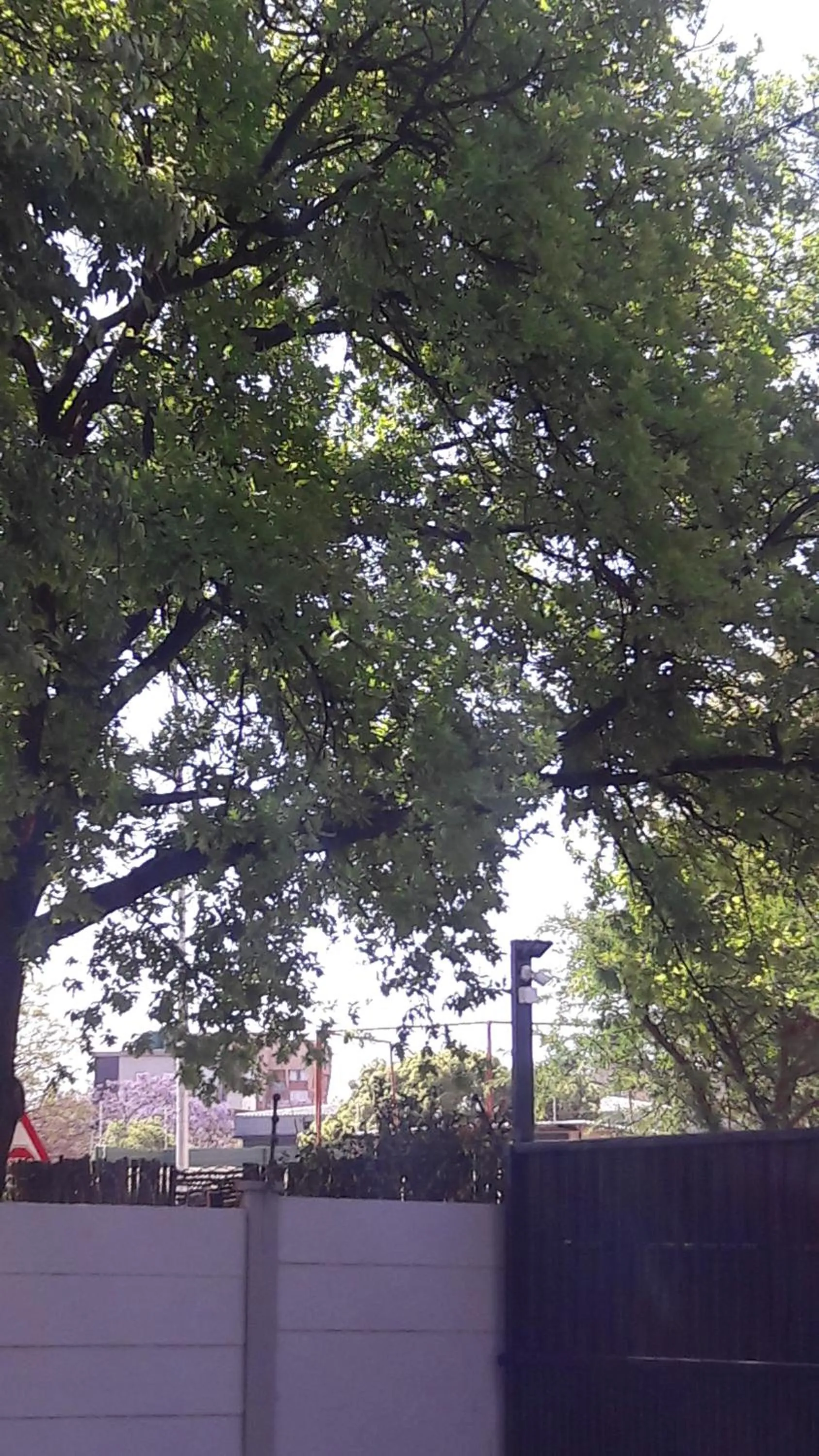 Property building in Valley Guest House