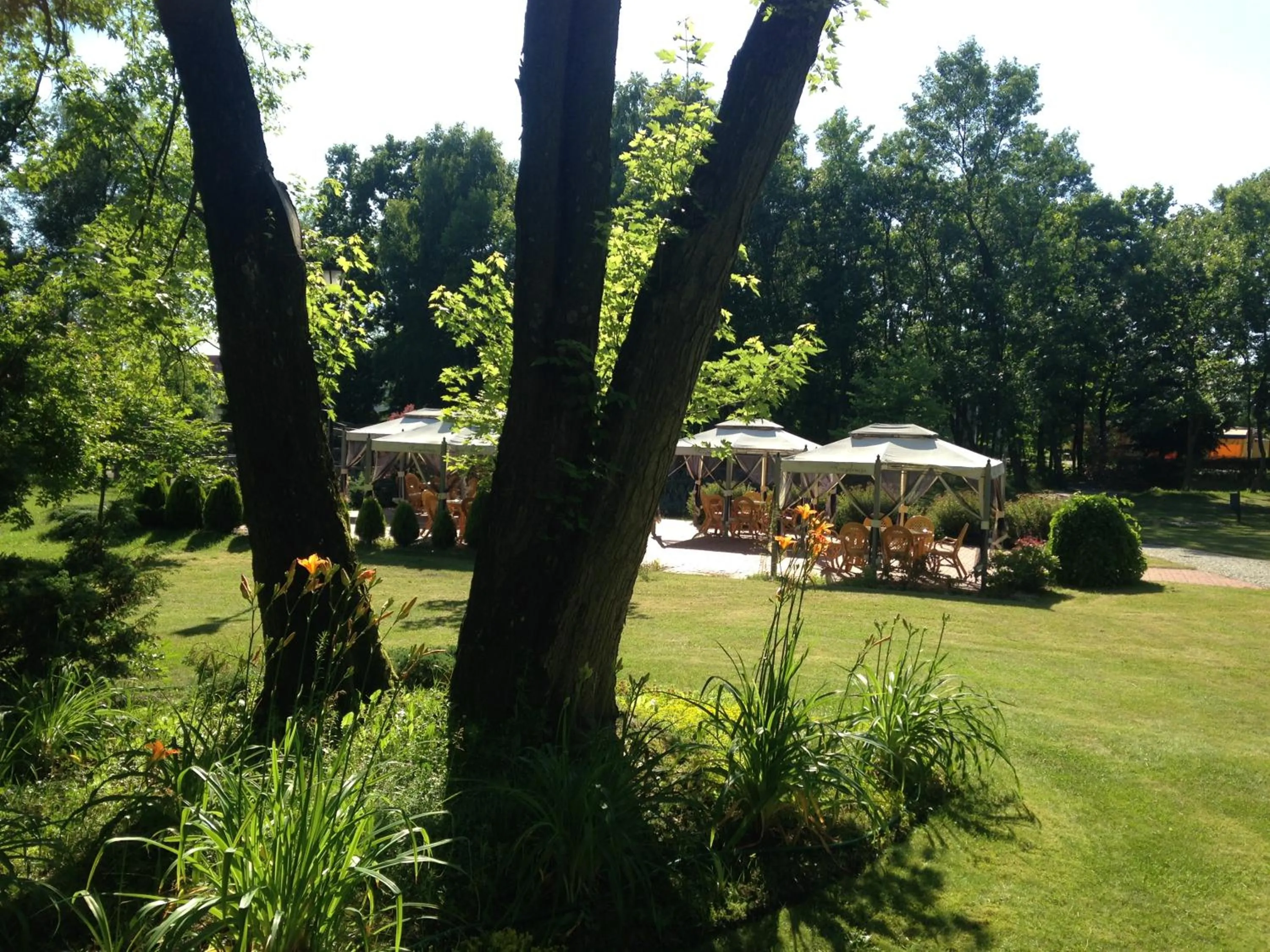 Garden in Rezydencja Dwór Polski