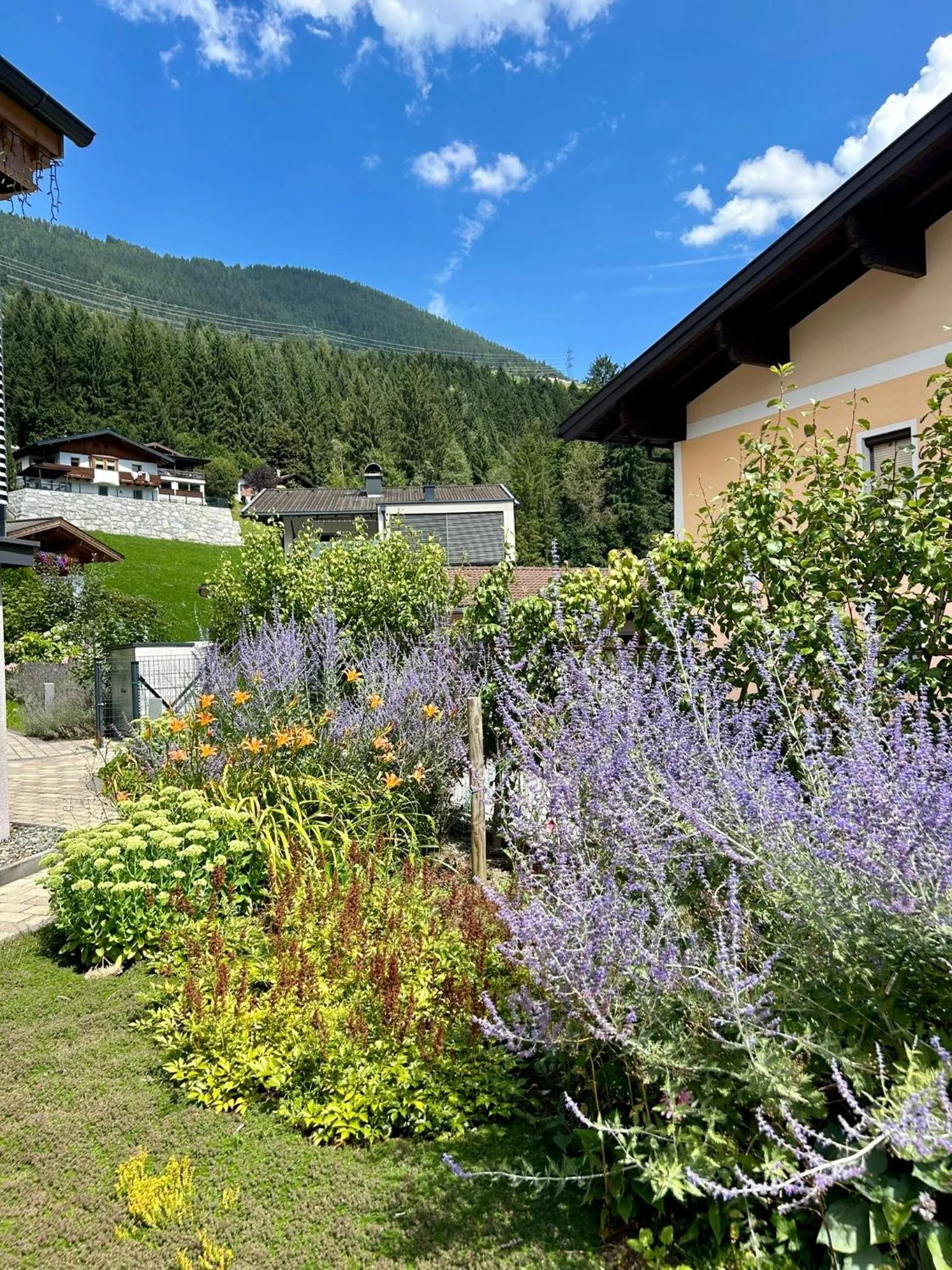 Ferienwohnung Wald