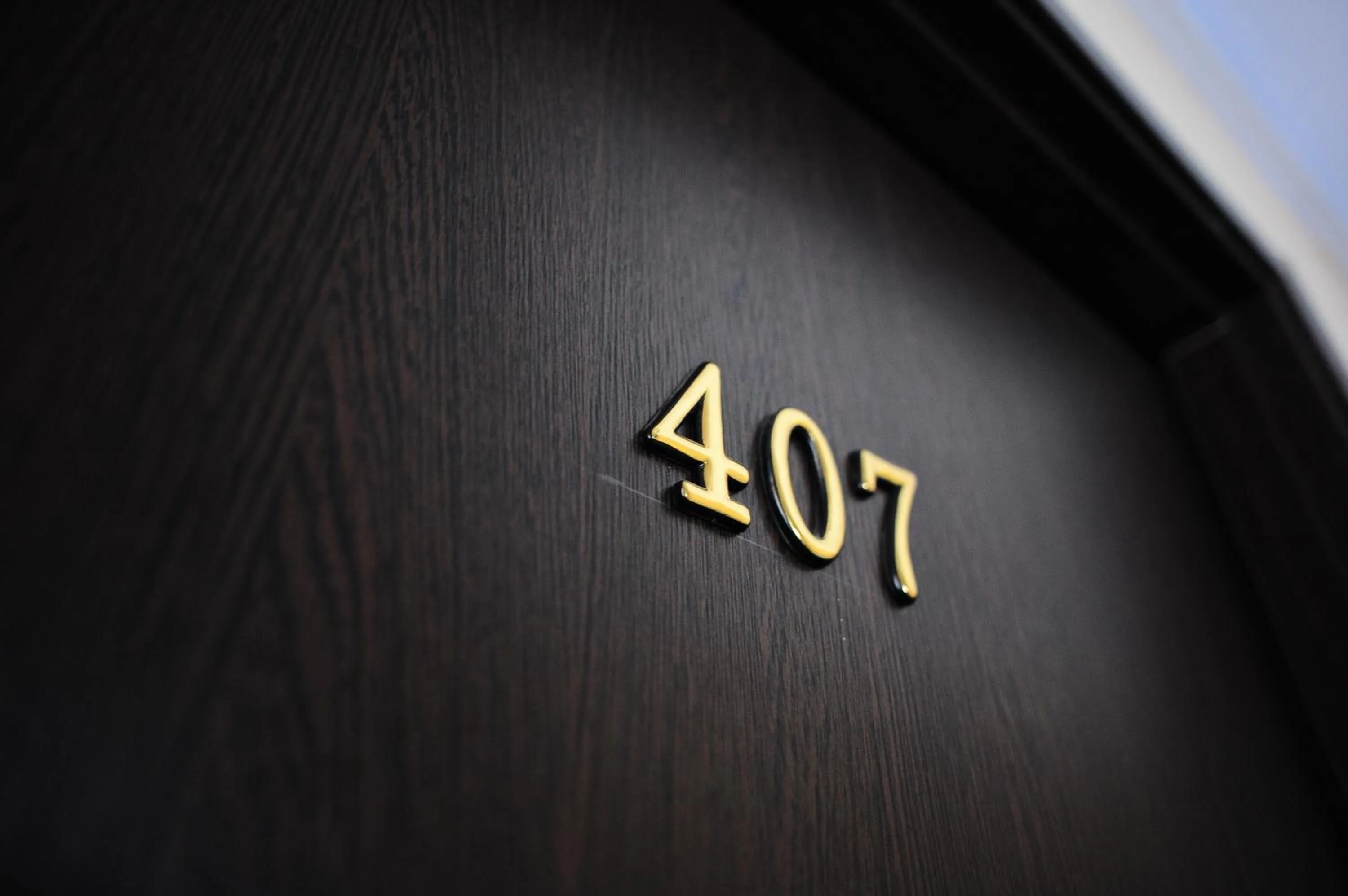 Decorative detail in Hotel Gorj