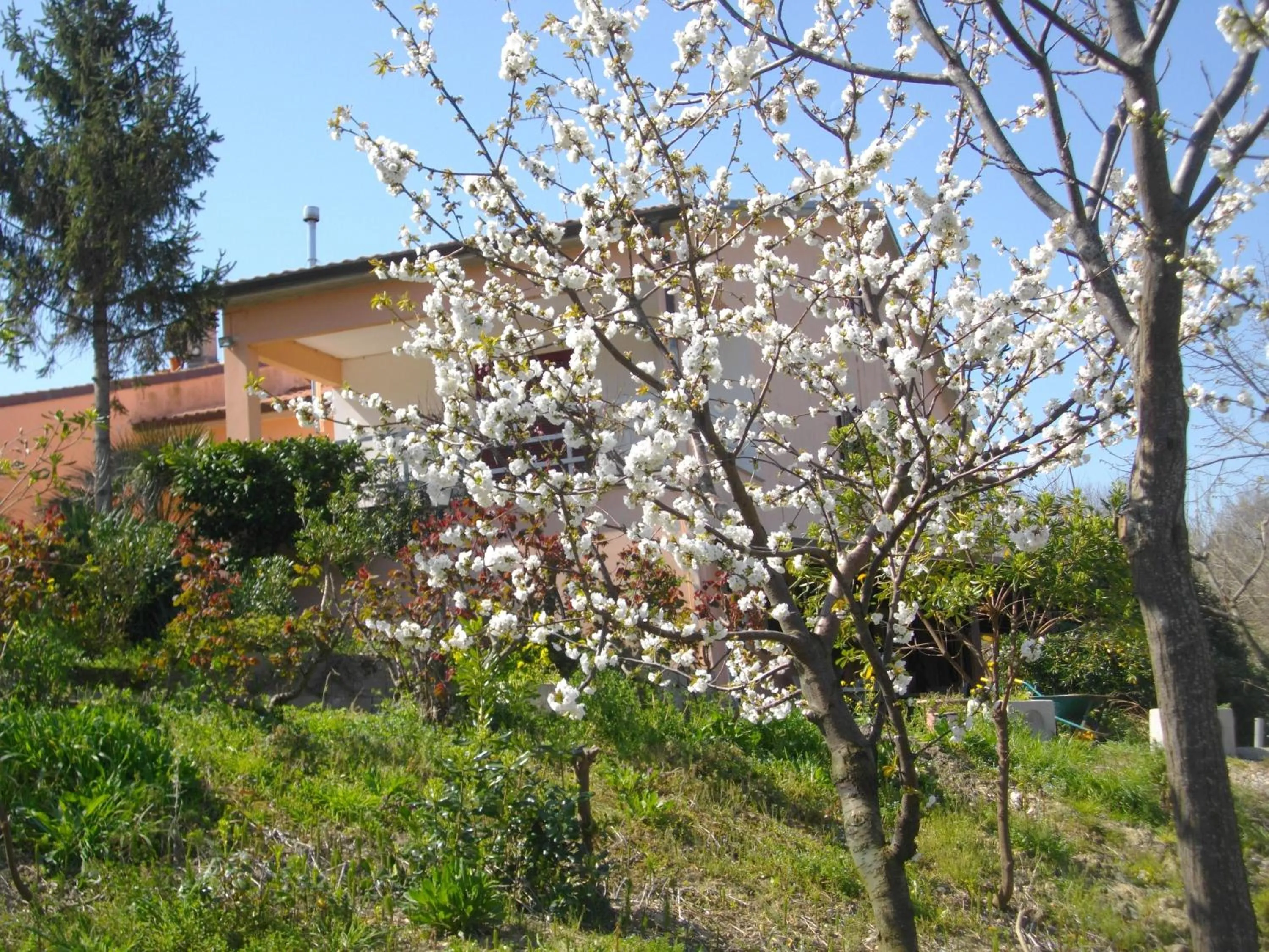 Il Rifugio dell'Ape Agriturismo