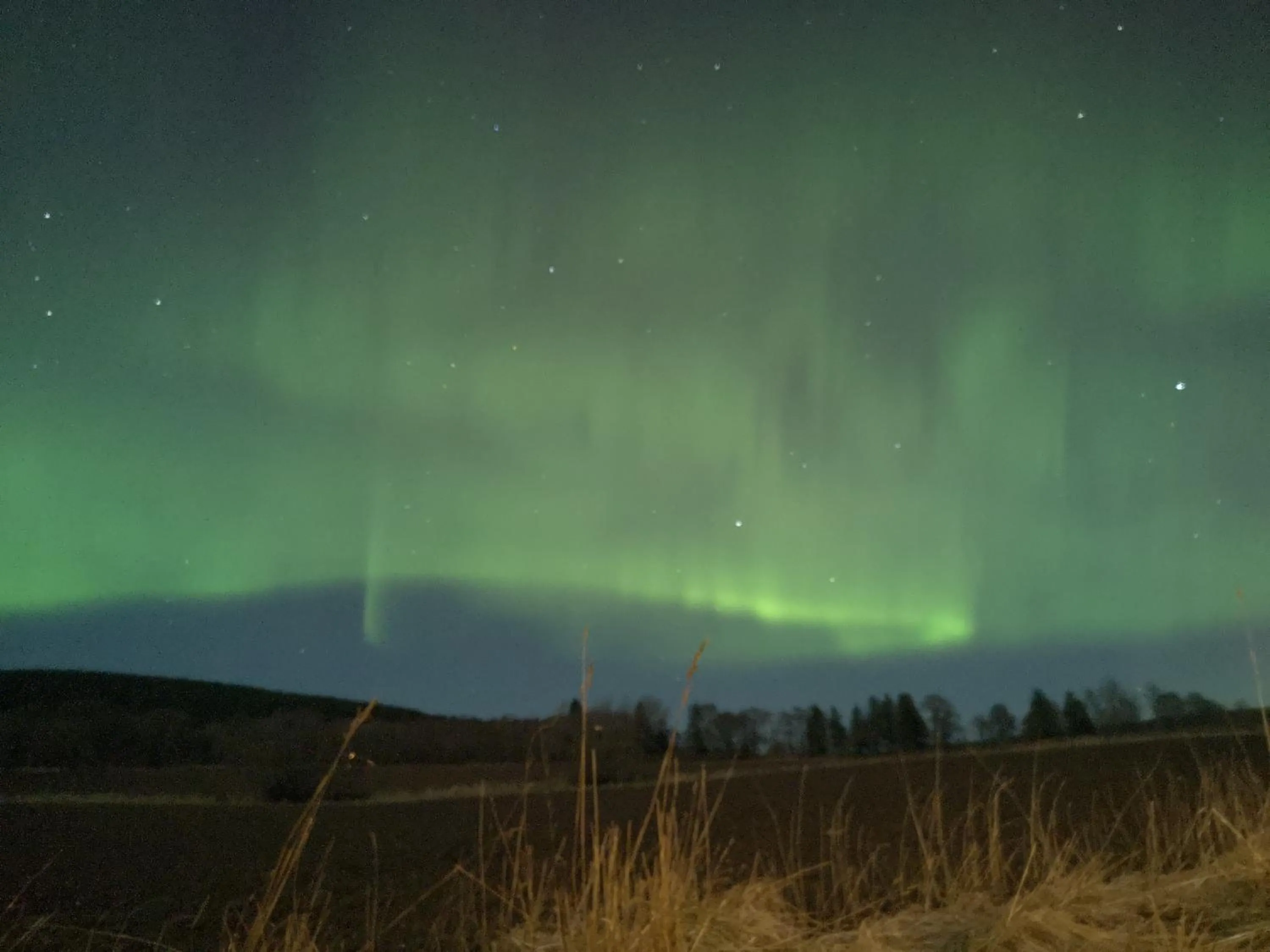 Night in Beechwood Lodge