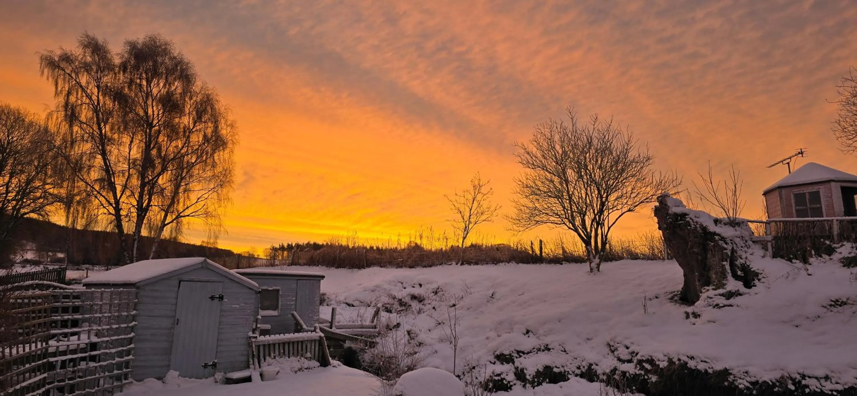View (from property/room) in Beechwood Lodge