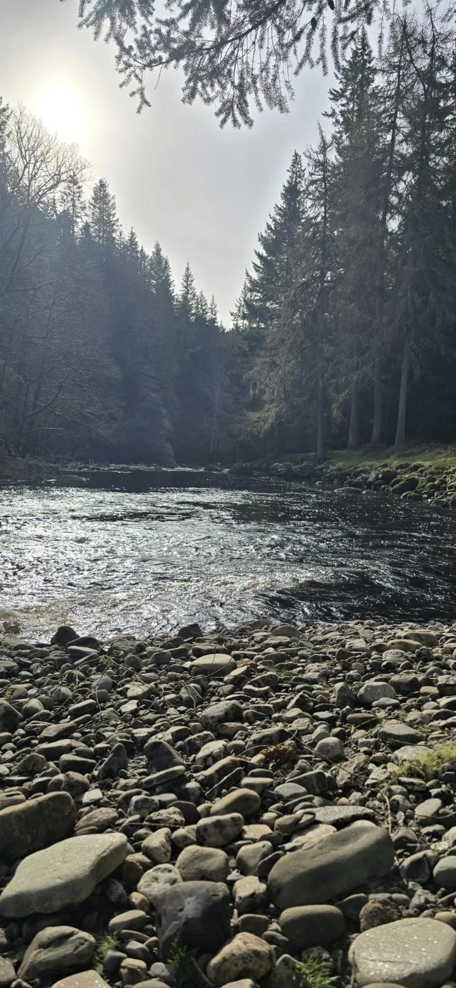 Nearby landmark in Beechwood Lodge