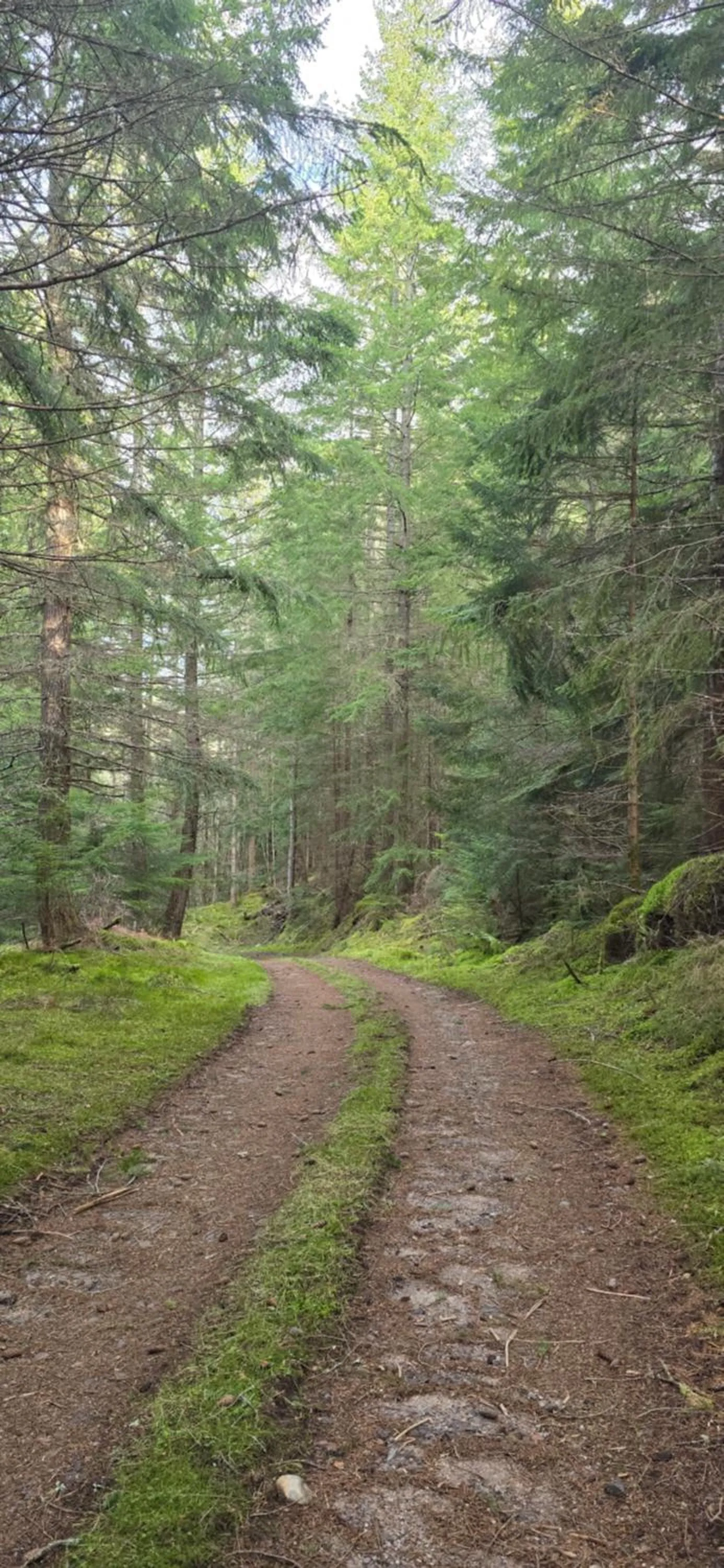 Neighbourhood in Beechwood Lodge
