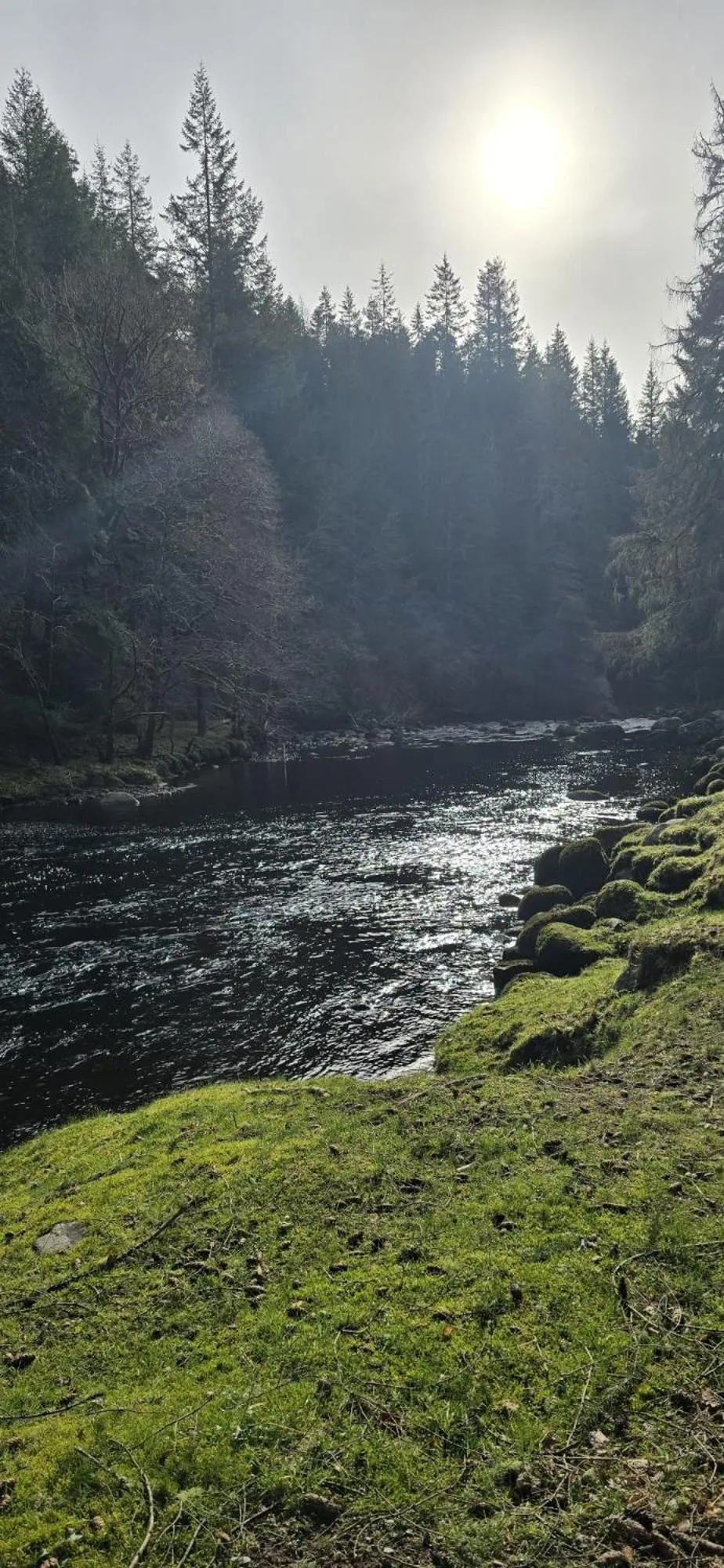 Nearby landmark in Beechwood Lodge