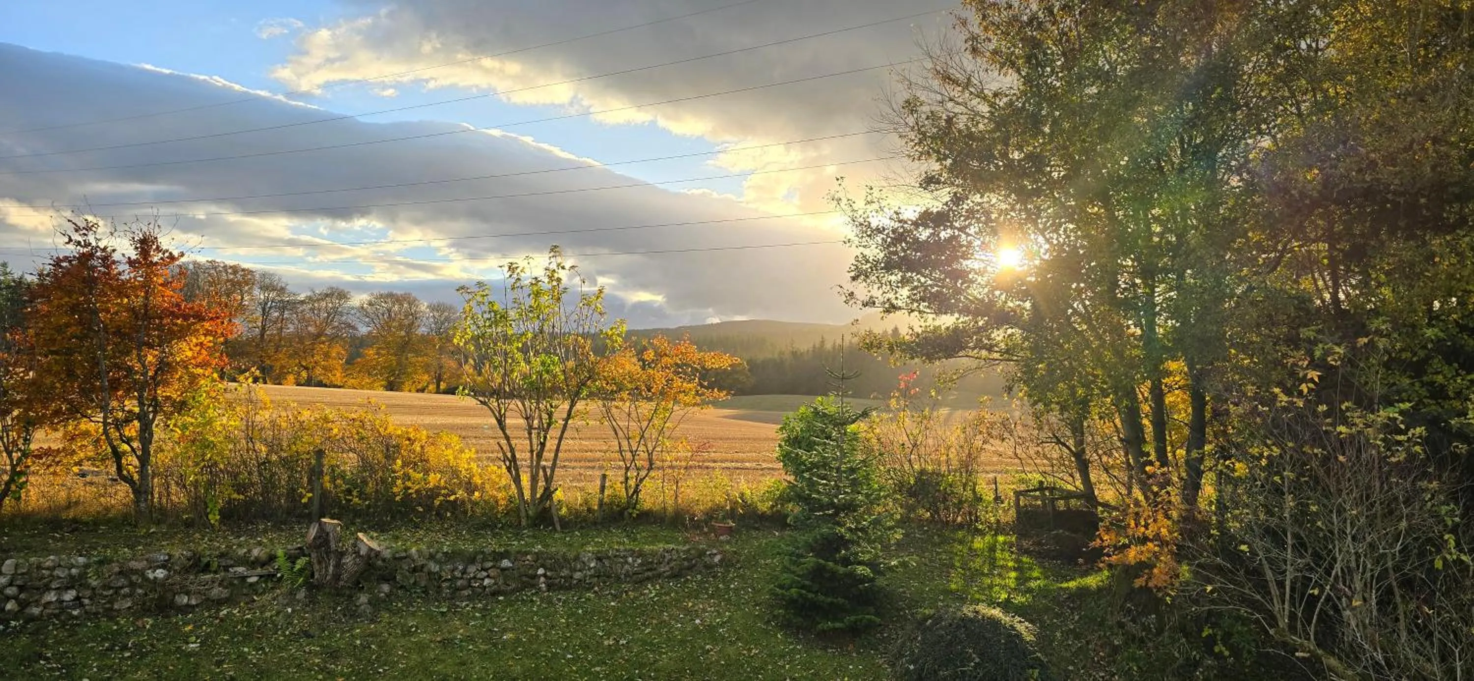 View (from property/room) in Beechwood Lodge