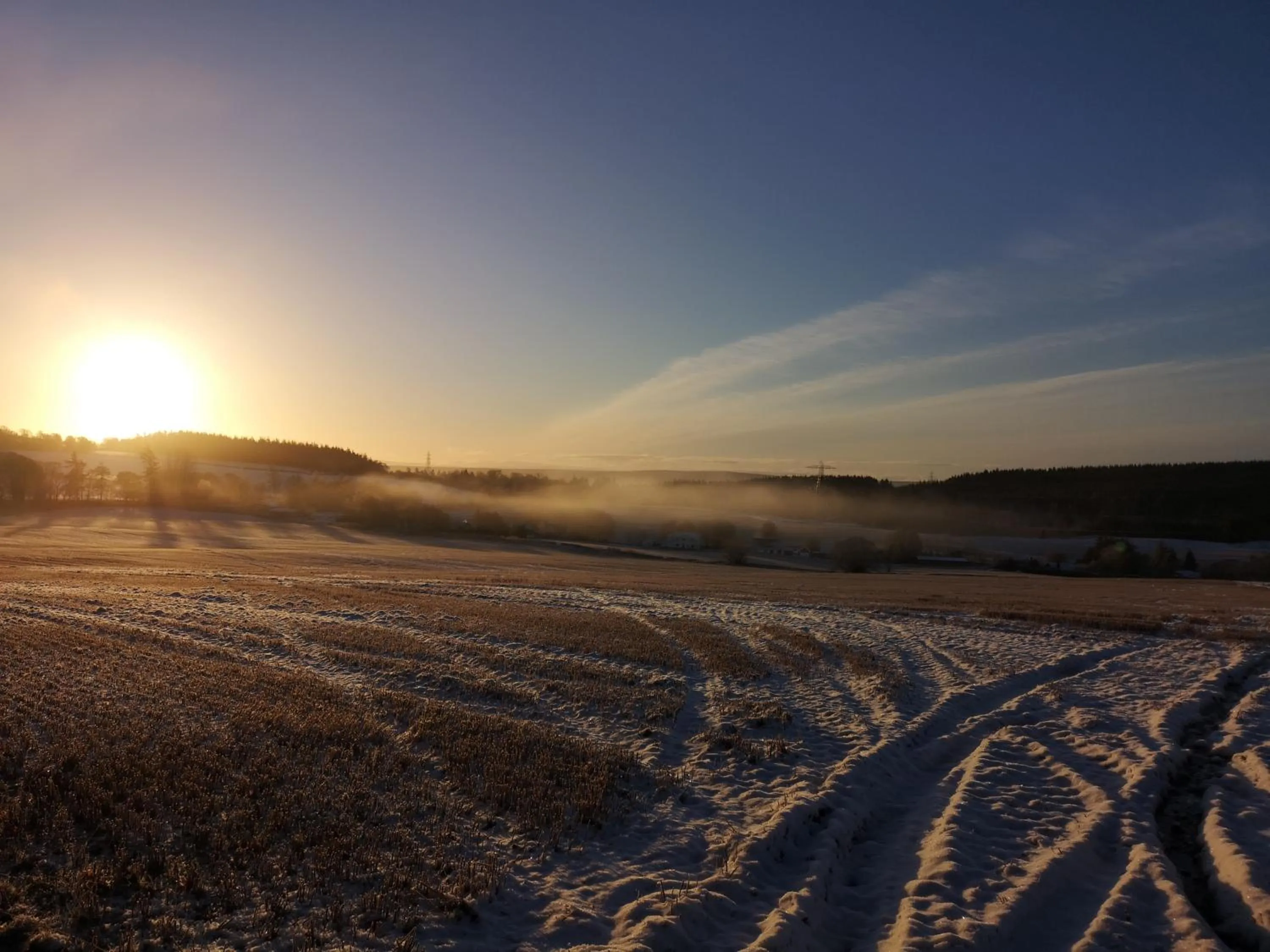 Day in Beechwood Lodge