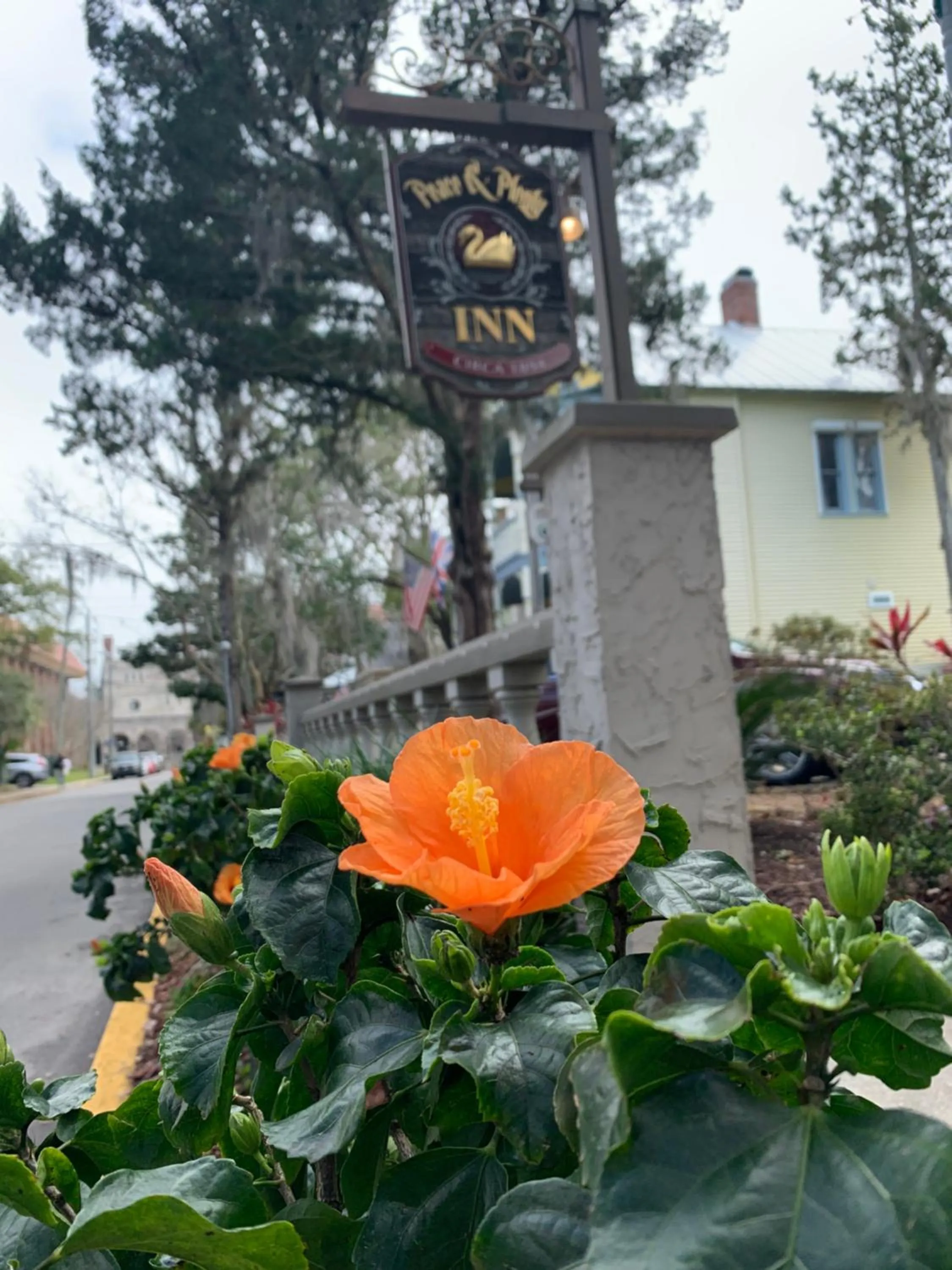 Peace & Plenty Inn Bed and Breakfast Downtown St Augustine-Adults Only