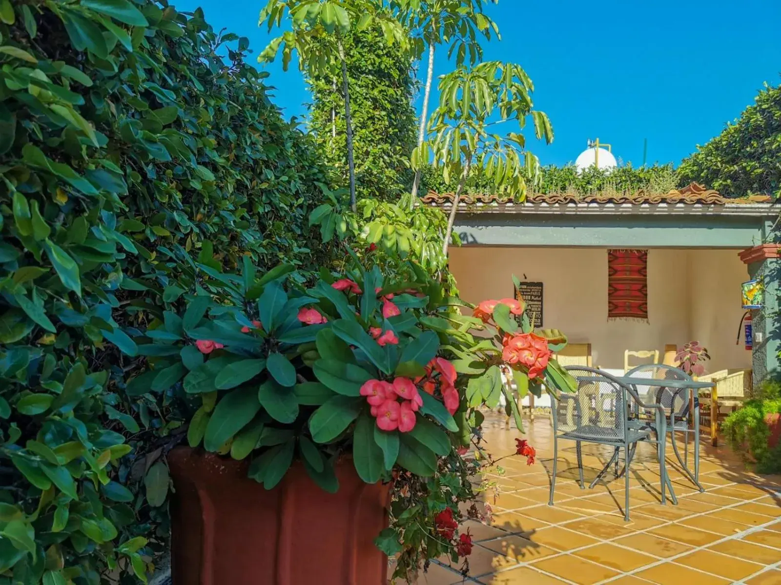 Deluxe Twin Room in Hotel Casa Guivá Deluxe Twin Room in Hotel Casa Guivá