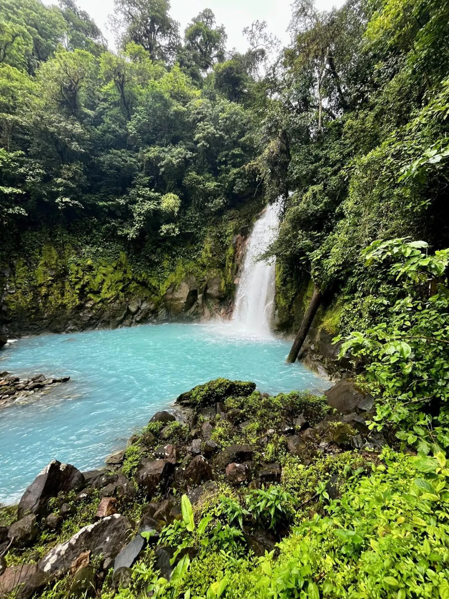 Nearby landmark in Kakao Lodge & Garden Río Celeste