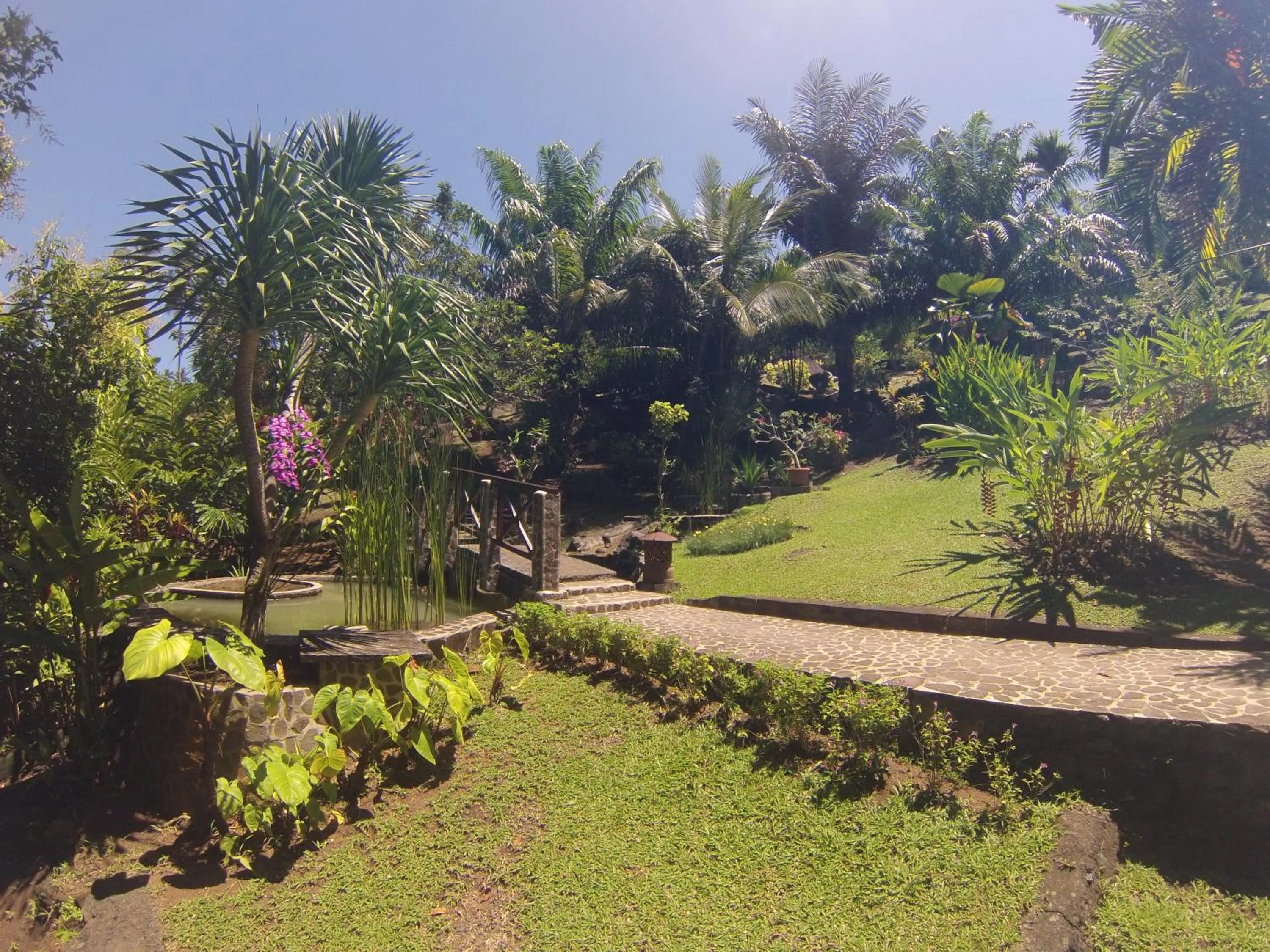 Garden in Lumbalumba Resort - Manado